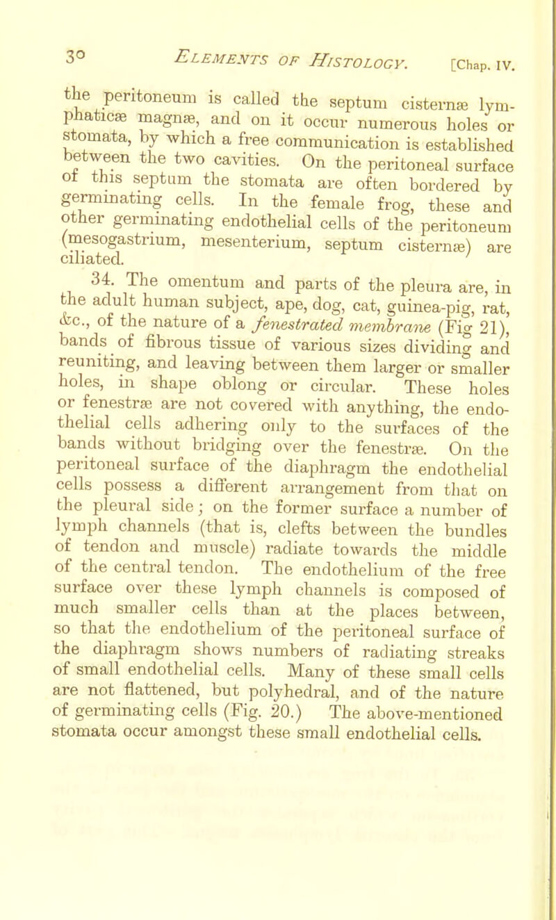 the peritoneum is caUed the septum cisternal lym- phaticse magnse, and on it occur numerous holes or stomata, by which a free communication is established between the two cavities. On the peritoneal surface ot this septum the stomata are often bordered by germinating cells. In the female frog, these and other germmatmg endothelial cells of the peritoneum (mesogastrium, mesenterium, septum cisternje) are ciliated. 34. The omentum and parts of the pleura are, in the adult human subject, ape, dog, cat, guinea-pig, rat, ifec, of the nature of a fenestrated memhraiw (Fig 21), bands of fibrous tissue of various sizes dividing and reuniting, and leaving between them larger or smaller holes, in shape oblong or circular. These holes or fenestras are not covered with anything, the endo- thelial cells adhering only to the surfaces of the bands without bridging over the fenestra;. On the peritoneal surface of the diaphragm the endothelial cells possess a different arrangement from that on the pleural side; on the former surface a number of lymph channels (that is, clefts between the bundles of tendon and muscle) radiate towards the middle of the central tendon. The endothelium of the free surface over these lymph chamiels is composed of much smaller cells than at the places between, so that the endothelium of the peritoneal surface of the diaphragm shows numbers of radiating streaks of small endothelial cells. Many of these small cells are not flattened, but polyhedral, and of the nature of germinating cells (Fig. 20.) The above-mentioned stomata occur amongst these small endothelial cells.