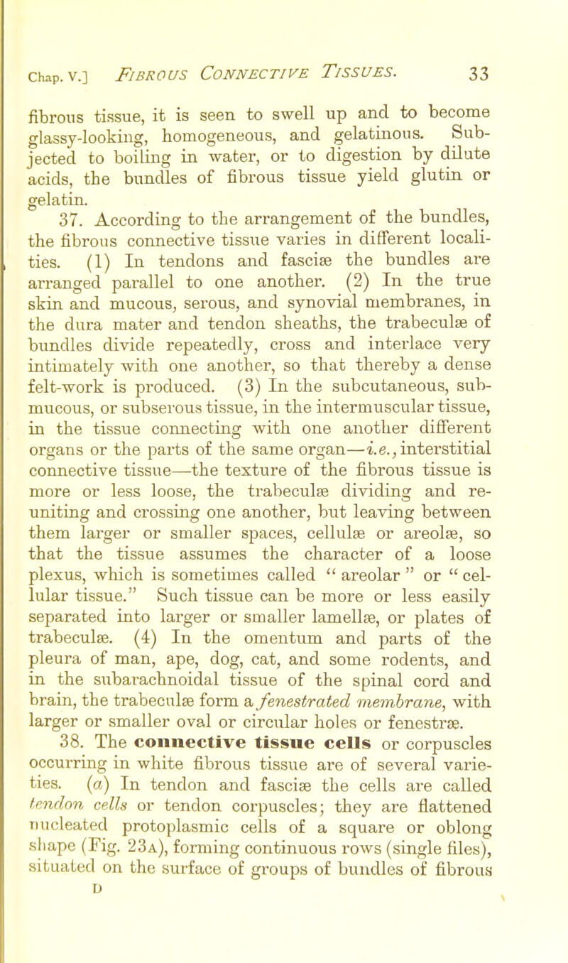 fibrous tissue, it is seen to swell up and to become glassy-looking, homogeneous, and gelatinous. Sub- jected to boiling in water, or to digestion by dilute acids, the bundles of fibrous tissue yield glutia or gelatin. 37. According to the arrangement of the bundles, the fibrous connective tissue varies in different locali- ties. (1) In tendons and fasciae the bundles are arranged parallel to one another. (2) In the true skin and mucous, serous, and synovial membranes, in the dura mater and tendon sheaths, the trabeculse of bundles divide repeatedly, cross and interlace very intimately with one another, so that thereby a dense felt-work is produced. (3) In the subcutaneous, sub- mucous, or subserous tissue, in the intermuscular tissue, in the tissue connecting with one another different organs or the parts of the same organ—i.e., interstitial connective tissue—^the texture of the fibrous tissue is more or less loose, the trabecules dividing and re- uniting and crossing one another, but leaving between them larger or smaller spaces, cellulte or areolae, so that the tissue assumes the character of a loose plexus, which is sometimes called  areolar  or  cel- lular tissue. Such tissue can be more or less easily separated into larger or smaller lamellae, or plates of trabeculae. (4) In the omentum and parts of the pleura of man, ape, dog, cat, and some rodents, and in the siibarachnoidal tissue of the spinal cord and brain, the trabeculse form a fenestrated membrane, with larger or smaller oval or circular holes or fenestras. 38. The connective tissue cells or corpuscles occurring in white fibrous tissue are of several varie- ties, (a) In tendon and fasciae the cells are called tendon cells or tendon corpuscles; they are flattened nucleated protoplasmic cells of a square or oblong sliape (Fig. 23a), forming continuous rows (single files), situated on the surface of groups of bundles of fibrous D