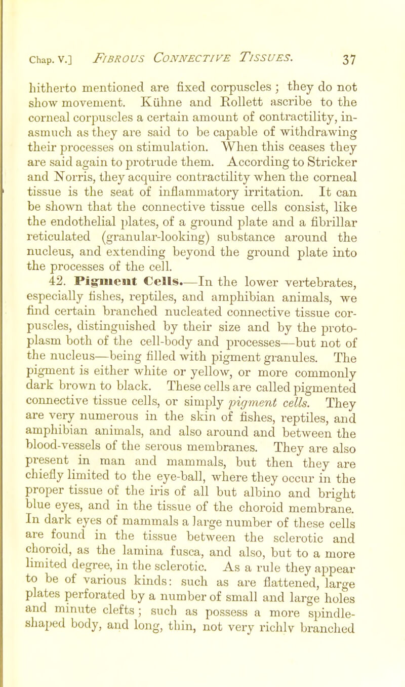 hitherto mentioned are fixed corpuscles ; they do not show movement. Kiihne and Eollett ascribe to the corneal corpuscles a certain amount of contractility, in- asmuch as they are said to be capable of withdrawing their processes on stimulation. When this ceases they are said again to protrude them. According to Strieker and Norris, they acquire contractility when the corneal tissue is the seat of inflammatory irritation. It can be shown that the connective tissue cells consist, like the endothelial plates, of a ground plate and a fibrillar reticulated (granular-looking) substance around the nucleus, and extending beyond the ground plate into the processes of the cell. 42. Pi^ient Cells—In the lower vex-tebrates, especially fishes, i-eptiles, and amphibian animals, we find certain branched nucleated connective tissue cor- puscles, distinguished by their size and by the proto- plasm both of the cell-body and processes—but not of the nucleus—being filled with pigment granules. The pigment is either white or yellow, or more commonly dark brown to black. These cells are called pigmented connective tissue cells, or simply pigment cells. They are very numerous in the skin of fishes, reptiles, and amphibian animals, and also around and between the blood-vessels of the serous membranes. They are also present in man and mammals, but then they are chiefly limited to the eye-ball, where they occur in the proper tissue of the iris of all but albino and bright blue eyes, and in the tissue of the choroid membrane. In dark eyes of mammals a large number of these cells are found in the tissue between the sclerotic and choroid, as the lamina fusca, and also, but to a more hmited degree, in the sclerotic. As a rule they appear to be of various kinds: such as are flattened, large plates perforated by a number of small and large holes and mmute clefts; such as possess a more spindle- shaped body, and long, thin, not very richly branched