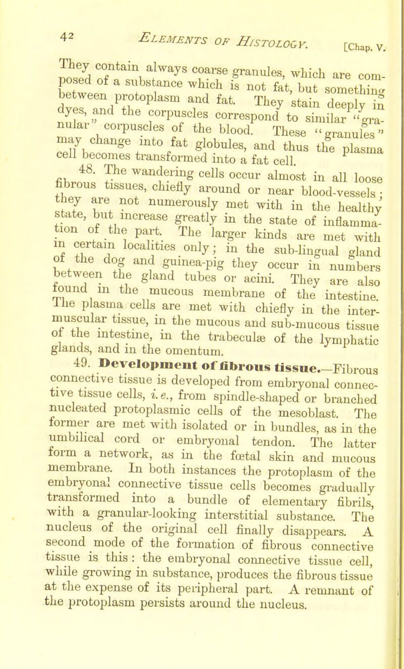 mspH coarse granules, which are com- posed of a subs ance which is not fat, but sometHn.. between protoplasm and fat. They 'stain de^Sy in dyes and the corpuscles correspond%o si:nilar '>a nular corpuscles of the blood. These granules may change into fat globules, and thus the plasma cell becomes transformed iiito a fat cell ^ 48. The wandering cells occur almost in all loose fibrous tissues, chiefly around or near blood-vessds they are not numerously met with in the healthy' state, but increase greatly in the state of inflamma- tion of the part. The larger kinds are met with m certain localities only; in the sub-lingual gland of the dog and guinea-pig they occur in numbers between the gland tubes or acini. They are also tound in the mucous membrane of the intestine. Ihe plasma cells are met with chiefly in the inter- muscular tissue, in the mucous and sub-mucous tissue ot the intestine, in the trabecule of the lymphatic glands, and in the omentum. 49. Development of fibrous tissue.-Fibrous connective tissue is developed from embryonal connec- tive tissue cells, i.e., from spindle-shaped or branched nucleated protoplasmic cells of the mesoblast. The former are met with isolated or in bundles, as in the umbilical cord or embryonal tendon. The latter form a network, as in the fcetal skin and mucous membrane. In both instances the protoplasm of the embryonal connective tissue cells becomes gradually transformed into a bundle of elementary fibrils, with a granular-looking interstitial substance. The nucleus of the original cell finally disappears. A second mode of the formation of fibrous connective tissue is this : the embryonal connective tissue cell, while growing in substance, produces the fibrous tissue at the expense of its peripheral part. A remnant of the protoplasm persists around the nucleus.