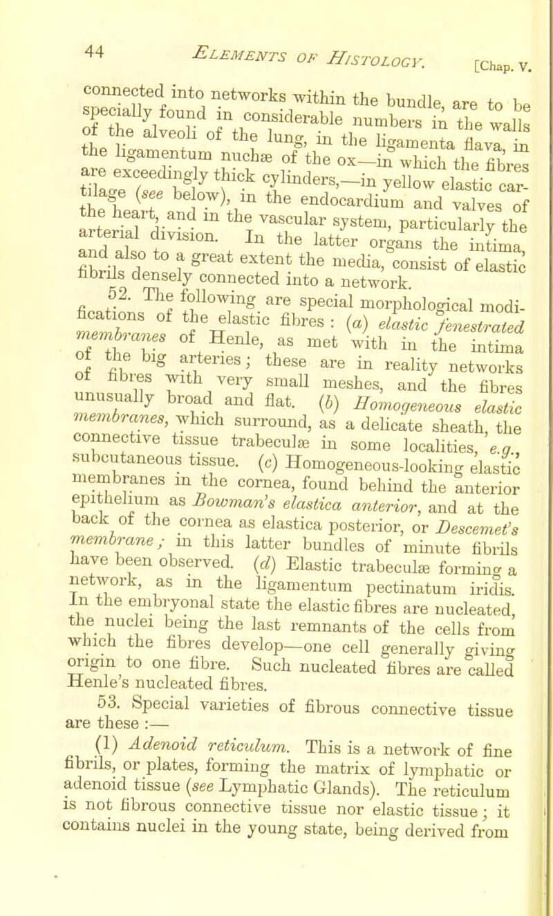 sp?danvl'^*°. networks within the bundle, are to be specially found in considerable numbers iA the walls o the alveoli of the lung, in the ligamenta flava in the ligamentum nuch^e of the ox-in which the fibrS are exceedingly thick cvlinder^ i ! tnno-« 1. 1 r • ^•{^^<^^^^s>—in yellow elastic car- tilage {see be ow), m the endocardium and valves of tX^Tk- *^'r '^^^^^ '^''^^^ particularly the arterial division. In the latter organs the iiiima fibrilfdenlt'^^^^ niecHa,%onsist of eSc Hbr^s densely connected into a network fin«Hn■ % ^;^^^o^ng. are special morphological modi- fications of the elastic fibres: {a) elastic fenestrated m«™ „ of Henle, as met Vith in the intta of the big arteries; these are in reality networks of fibres with very small meshes, and the fibres unusually broad and flat, (i) Ho.^ogeneous elasZ membranes, which surround, as a dehcate sheath, the connective tissue trabecule in some localities, e.g subcutaneous tissue, (c) Homogeneous-looking elastic membranes m the cornea, found behind the anterior epitliehum as Bowman's elastica anterior, and at the back of the cornea as elastica posterior, or Bescemet's membrane; m this latter bundles of minute fibrils have been observed, (d) Elastic trabeculEe forming a network, as m the ligamentum pectiuatum iridis. in the embryonal state the elastic fibres are nucleated the nuclei being the last remnants of the cells from which the fibres develop—one cell generally givin<^ origin to one fibre. Such nucleated fibres are called Henle s nucleated fibres. 53. Special varieties of fibrous connective tissue are these :— (1) Adenoid reticulum. This is a network of fine fibrils, or plates, forming the matrix of lymphatic or adenoid tissue {see Lymphatic Glands). The reticulum is not fibrous connective tissue nor elastic tissue; it contauis nuclei in the young state, being derived from