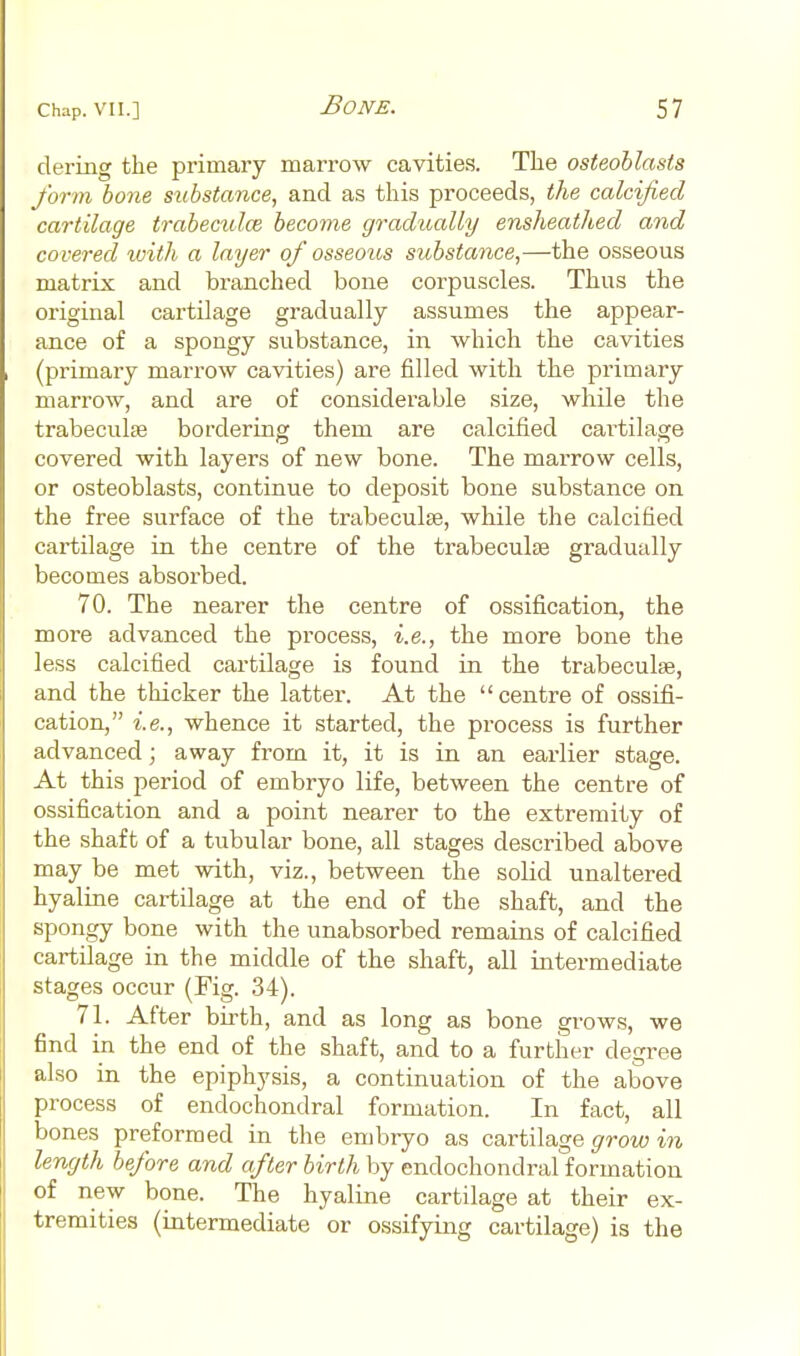dering the primary marrow cavities. The osteoblasts form bone substance, and as this proceeds, the calcified cartilage trabeculce become graditally ensheathed and covered with a layer of osseous substance,—the osseous matrix and branched bone corpuscles. Thus the original cartilage gradually assumes the appear- ance of a spongy substance, in which the cavities (primary marrow cavities) are filled with the primary marrow, and are of considerable size, while the trabeculse bordering them are calcified cai-tilage covered with layers of new bone. The marrow cells, or osteoblasts, continue to deposit bone substance on the free surface of the trabeculse, while the calcified cartilage in the centre of the trabecute gradually becomes absorbed. 70. The nearer the centre of ossification, the more advanced the process, i.e., the more bone the less calcified cartilage is found in the trabeculse, and the thicker the latter. At the centre of ossifi- cation, i.e., whence it started, the process is further advanced; away from it, it is in an earlier stage. At this period of embryo life, between the centre of ossification and a point nearer to the extremity of the shaft of a tubular bone, all stages described above may be met with, viz., between the solid unaltered hyaline cartilage at the end of the shaft, and the spongy bone with the unabsorbed remains of calcified cartilage in the middle of the shaft, all intermediate stages occur (Fig. 34). 71. After bu-th, and as long as bone grows, we find in the end of the shaft, and to a further degree also in the epiphysis, a continuation of the above process of endochondral formation. In fact, all bones preformed in the embryo as cartilage grow in length before and after birth by endochondral formation of new bone. The hyaline cartilage at their ex- tremities (intermediate or ossifying cartilage) is the