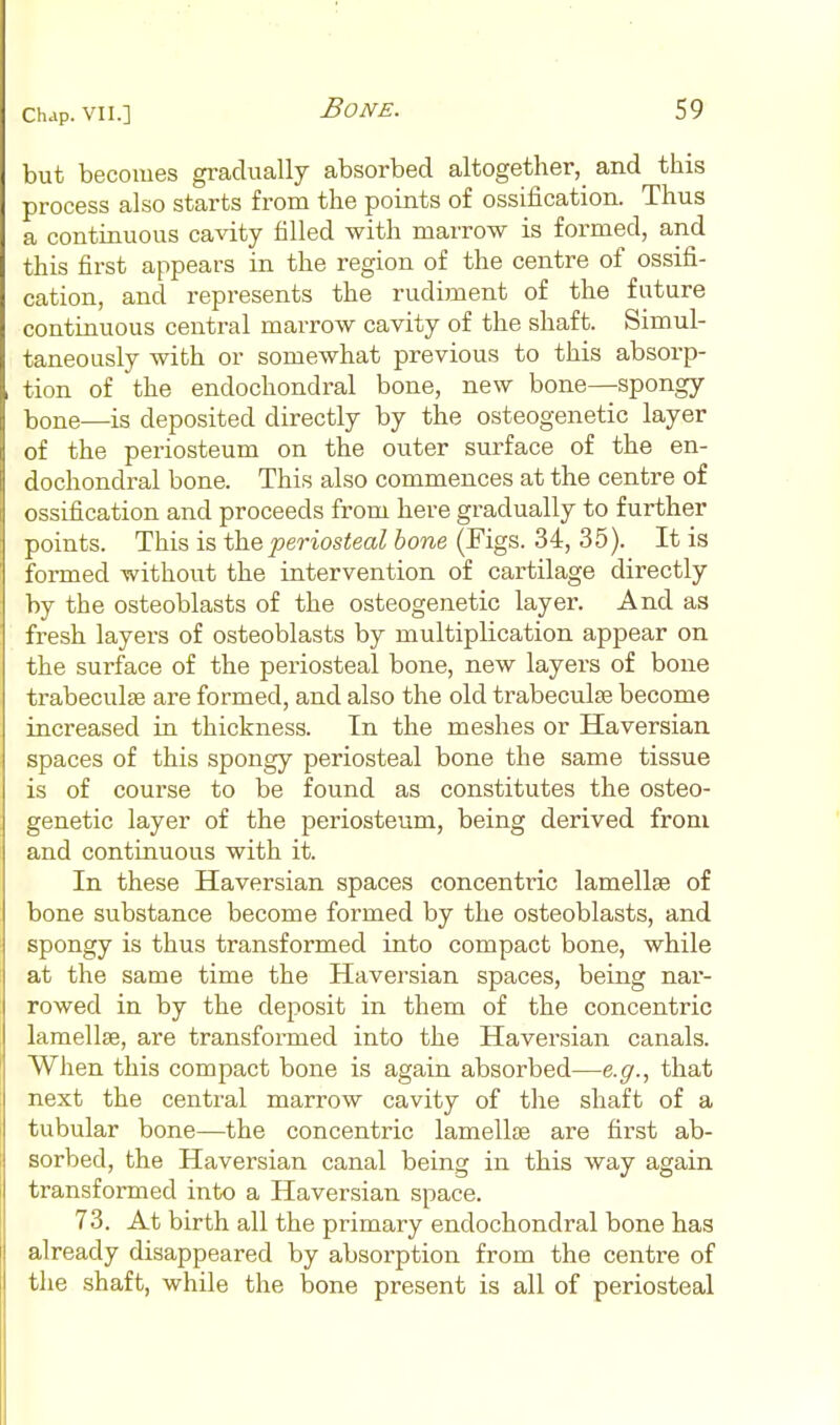 but becomes gradually absorbed altogether,^ and this process also starts from the points of ossification. Thus a continuous cavity filled with marrow is formed, and this first appears in the region of the centre of ossifi- cation, and represents the rudiment of the future continuous central marrow cavity of the shaft. Simul- taneously with or somewhat previous to this absorp- tion of the endochondral bone, new bone—spongy bone—is deposited directly by the osteogenetic layer of the periosteum on the outer surface of the en- dochondral bone. This also commences at the centre of ossification and proceeds from here gradually to further points. This is periosteal hone (Figs. 34, 35). It is formed without the intervention of cartilage directly by the osteoblasts of the osteogenetic layer. And as fresh layers of osteoblasts by multiplication appear on the surface of the periosteal bone, new layers of bone trabecule are formed, and also the old trabeculse become increased hi thickness. In the meshes or Haversian spaces of this spongy periosteal bone the same tissue is of course to be found as constitutes the osteo- genetic layer of the periosteum, being derived from and continuous with it. In these Haversian spaces concentric lamellae of bone substance become formed by the osteoblasts, and spongy is thus transformed into compact bone, while at the same time the Haversian spaces, being nar- rowed in by the deposit in them of the concentric lamellae, are transfonned into the Haversian canals. When this compact bone is again absorbed—e.^., that next the central marrow cavity of the shaft of a tubular bone—the concentric lamellae are first ab- sorbed, the Haversian canal being in this way again transfonned into a Haversian space. 73. At birth all the primary endochondral bone has already disappeared by absorption from the centre of the shaft, while the bone present is all of periosteal