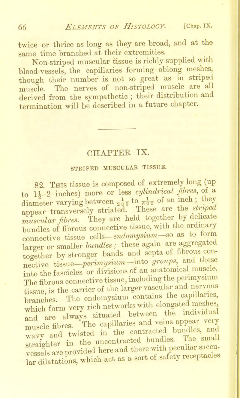 twice or thrice as long as they are broad, and at the same time branched at their extremities. Non-striped muscular tissue is richly supplied with blood-vessels, the capillaries forming oblong meshes, though their number is not so great as in striped muscle. The nerves of non-striped muscle are all derived from the sympathetic ; their distribution and termination will be described in a future chapter. CHAPTER IX. STRIPED MUSCULAR TISSUE. 82. This tissue is composed of extremely long (up to li-2 inches) more or less cylindrical fibres, of a diameter varying between to ^ of an inch ; they appear transversely striated. These are the striped musctdar fibres. They are held together by dehcate bundles of fibrous connective tissue, with the ordinary connective tissue ce]h—e7ulomysiicm—so as to torm larger or smaller bundles; these again are aggregated together by stronger bands and septa of fibrous con- nective tissne-perimysitcm-into groujys, and tliese into the fascicles or divisions of an anatomical muscle. The fibrous connective tissue, including the perimysium tissue, is the carrier of the larger vascular and nervous branches The endomysium contams the capillaries, whiih form very rich networks with elongated meshes r^fd are always situated between the individual muscle fibres. The capillaries and veins appear very onri twisted in the contracted bundles, and Sht ' il te u:rcontracted bundles. The small vessels are provided here and there with peculiar saccu- lar S^ltatiL, which act as a sort of safety receptacles