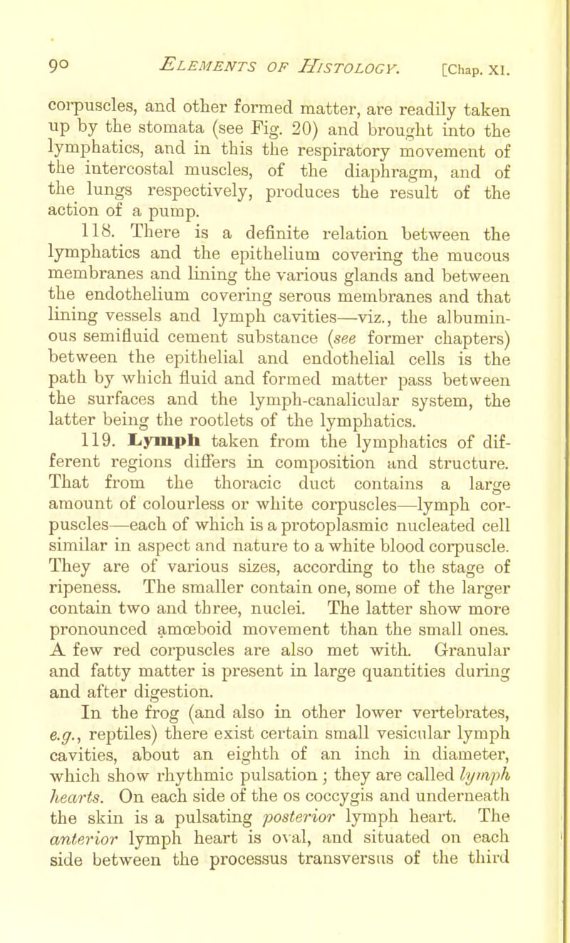 corpuscles, and other formed matter, are readily taken up by the stomata (see Fig. 20) and brought into the lymphatics, and in this the respiratory movement of the intercostal muscles, of the diaphragm, and of the lungs respectively, produces the result of the action of a pump. 118. There is a definite relation between the lymphatics and the epithelium covering the mucous membranes and Hning the various glands and between the endothelium covering serous membranes and that lining vessels and lymph cavities—viz., the albumin- ous semifluid cement substance (see former chapters) between the epithelial and endothelial cells is the path by which fluid and formed matter pass between the surfaces and the lymph-canalicular system, the latter being the rootlets of the lymphatics. 119. Liymph taken from the lymphatics of dif- ferent regions diflfers in composition and structure. That from the thoracic duct contams a large amount of colourless or white corpuscles—lymph cor- puscles—each of which is a protoplasmic nucleated cell similar in aspect and nature to a white blood corpuscle. They are of various sizes, according to the stage of ripeness. The smaller contain one, some of the larger contain two and three, nuclei. The latter show more pronounced amoeboid movement than the small ones. A few red corpuscles are also met with. Granular and fatty matter is present in large quantities during and after digestion. In the frog (and also in other lower vertebrates, e.p'., reptiles) there exist certain small vesicular lymph cavities, about an eighth of an inch in diameter, which show rhythmic pulsation ; they are called lymph hearts. On each side of the os coccygis and underneath the skin is a pulsating posterior lymph heart. The anterior lymph heart is o\al, and situated on each side between the processus transversus of the third