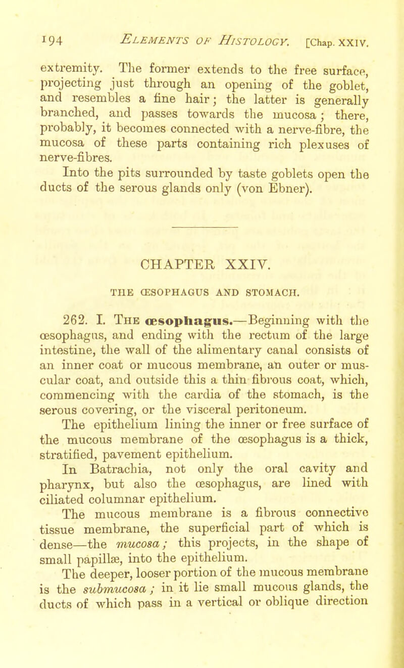 extremity. The former extends to the free surface, projecting just through an opening of the goblet, and resembles a fine hair; the latter is generally branched, and passes towards the mucosa; there, probably, it becomes connected with a nerve-fibre, the mucosa of these parts containing rich plexuses of nerve-fibres. Into the pits surrounded by taste goblets open the ducts of the serous glands only (von Ebner). CHAPTER XXIV. THE CESOPHAGUS AND STOMACH. 262. I. The cesophagus.—Beginning with the oesophagus, and ending with the rectum of the large intestine, the wall of the alimentary canal consists of an inner coat or mucous membrane, an outer or mus- cular coat, and outside this a thin fibrous coat, which, commencing with the cardia of the stomach, is the serous covering, or the visceral peritoneum. The epithelium lining the inner or free surface of the mucous membrane of the oesophagus is a thick, stratified, pavement epithelium. In Batrachia, not only the oral cavity and pharynx, but also the oesophagus, are lined with ciliated columnar epithelium. The mucous membrane is a fibrous connective tissue membrane, the superficial part of which is dense—the mucosa; this projects, in the shape of small papillae, into the epithelium. The deeper, looser portion of the mucous membrane is the snhmucosa ; in it lie small mucous glands, the ducts of which pass in a vertical or oblique direction