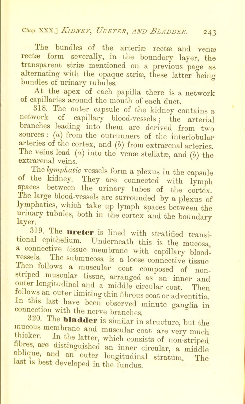 The bundles of the arterise rectse and venai rectie form severally, in the boundary layer, the transparent striae mentioned on a previous page as alternating with the opaque strise, these latter being bundles of urinary tubules. At the apex of each pa])illa there is a network of capillaries around the mouth of each duct. 318. The outer capsule of the kidney contains a network of capillary blood-vessels; the arterial branches leading into them are derived from two sources : {a) from the outrunners of the interlobular arteries of the cortex, and {h) from extrarenal arteries. The veins lead (a) into the vense stellata?, and (6) the extrarenal veins. The lymphatic vessels form a plexus in the capsule of the kidney. They are connected with lymph spaces between the urinary tubes of the cortex. The large blood-vessels are surrounded by a plexus of lymphatics, which take up lymph spaces between the urinary tubules, both in the cortex and the boundarv layer. 319. The ureter is lined with stratified transi- tional epithelium. Underneath this is the mucosa a connective tissue membrane with capillary blood- vessels The submucosa is a loose connective tissue Ihen follows a muscular coat composed of non- striped muscular tissue, aiTanged as an inner and outer longitudmal and a middle circular coat. Then tollows an outer limiting thin fibrous coat or adventitia. in this last have been observed minute ganglia in connection with the nerve branches. 320. The bladder is similar in structure, but the mucous membrane and muscular coat are veiy much thicker. In the latter, which consists of non-striped hbres, are distinguished an inner circular, a middle obJique and an outer longitudinal stratum. The last IS best developed in the fundus.