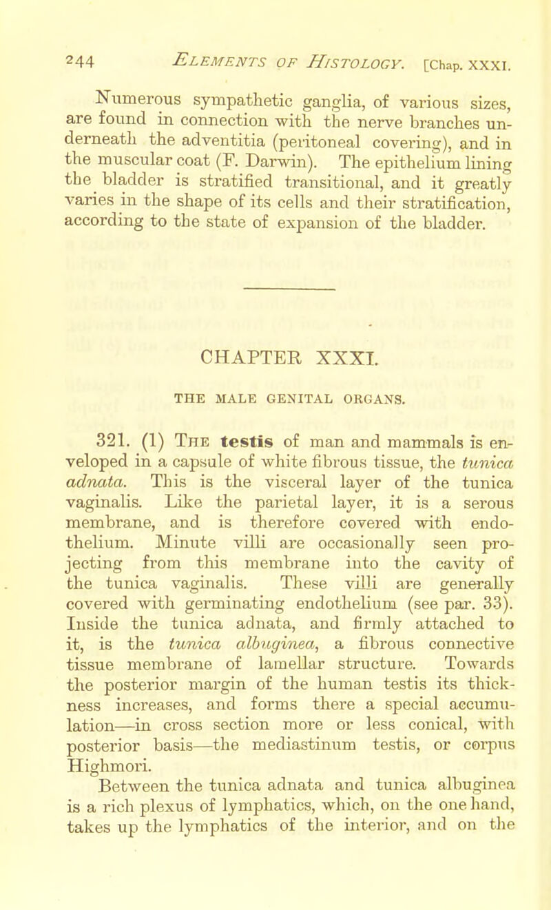 Numerous sympathetic ganglia, of various sizes, are found in connection with the nerve branches un- derneath the adventitia (peritoneal covering), and in the muscular coat (F. Darwin). The epithelium lining the^ bladder is stratified transitional, and it greatly varies in the shape of its cells and their stratification, according to the state of expansion of the bladder. CHAPTEE, XXXL THE MALE GENITAL ORGANS. 321. (1) The testis of man and mammals is en- veloped in a capsule of white fibrous tissue, the tunica adnata. This is the visceral layer of the tunica vaginalis. Like the parietal layer, it is a serous membrane, and is therefore covered with endo- thelium. Minute villi are occasionally seen pro- jecting from this membrane into the cavity of the tunica vaginalis. These villi are generally covered with germinating endothelium (see par. 3-3). Inside the tunica adnata, and firmly attached to it, is the tunica albuginea, a fibrous connective tissue membrane of lamellar structure. Towards the posterior margin of the human testis its thick- ness increases, and forms there a special accumu- lation—in cross section more or less conical, with posterior basis—the mediastinum testis, or corpus Highmori. Between the tunica adnata and tunica albuginea is a rich plexus of lymphatics, which, on the one liand, takes up the lymphatics of the interior, and on the