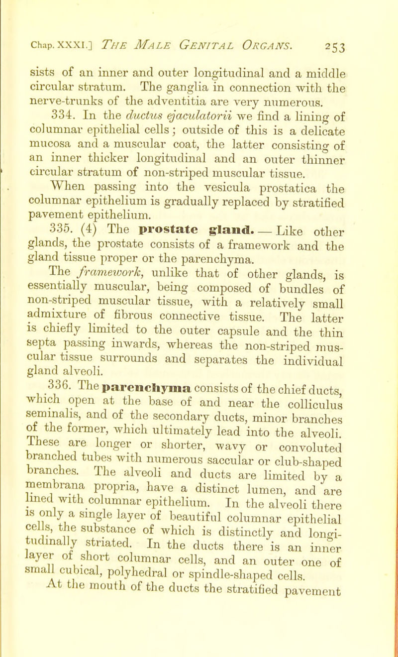 sists of an inner and outer longitudinal and a middle circular stratum. The ganglia in connection with the nerve-trunks of the adventitia are very numerous. 334. In the ductus ejaculatorii we find a lining of columnar epithelial cells; outside of this is a delicate mucosa and a muscular coat, the latter consisting of an inner thicker longitudinal and an outer thinner cii-cular stratum of non-striped muscular tissue. When passing into the vesicula prostatica the columnar epithelium is gradually replaced by stratified pavement epithelium. 335. (4) The prostate gland. — Like other glands, the prostate consists of a framework and the gland tissue proper or the parenchyma. The framevjork, unlike that of other glands, is essentially muscular, being composed of bundles of non-striped muscular tissue, with a relatively small admixture of fibrous connective tissue. The latter is chiefly limited to the outer capsule and the thin septa passing inwards, whereas the non-striped mus- cular tis.sue surrounds and separates the individual gland alveoli. 336. The parenchyma consists of the chief ducts which open at the base of and near the colliculus seminahs, and of the secondary ducts, minor branches of the former, which ultimately lead into the alveoli These are longer or shorter, wavy or convolute,! branched tubes with numerous saccular or club-shaped branches. The alveoli and ducts are limited by a membrana propria, have a distinct lumen, and are Imed with columnar epithelium. In the alveoli there IS only a single layer of beautiful columnar epithelial eel s, the substance of which is distinctly and \onsi- tudinally striated. In the ducts there is an inner layer of short columnar cells, and an outer one of small cubical, polyhedral or spindle-shaped cells At the mouth of the ducts the stratified pavement