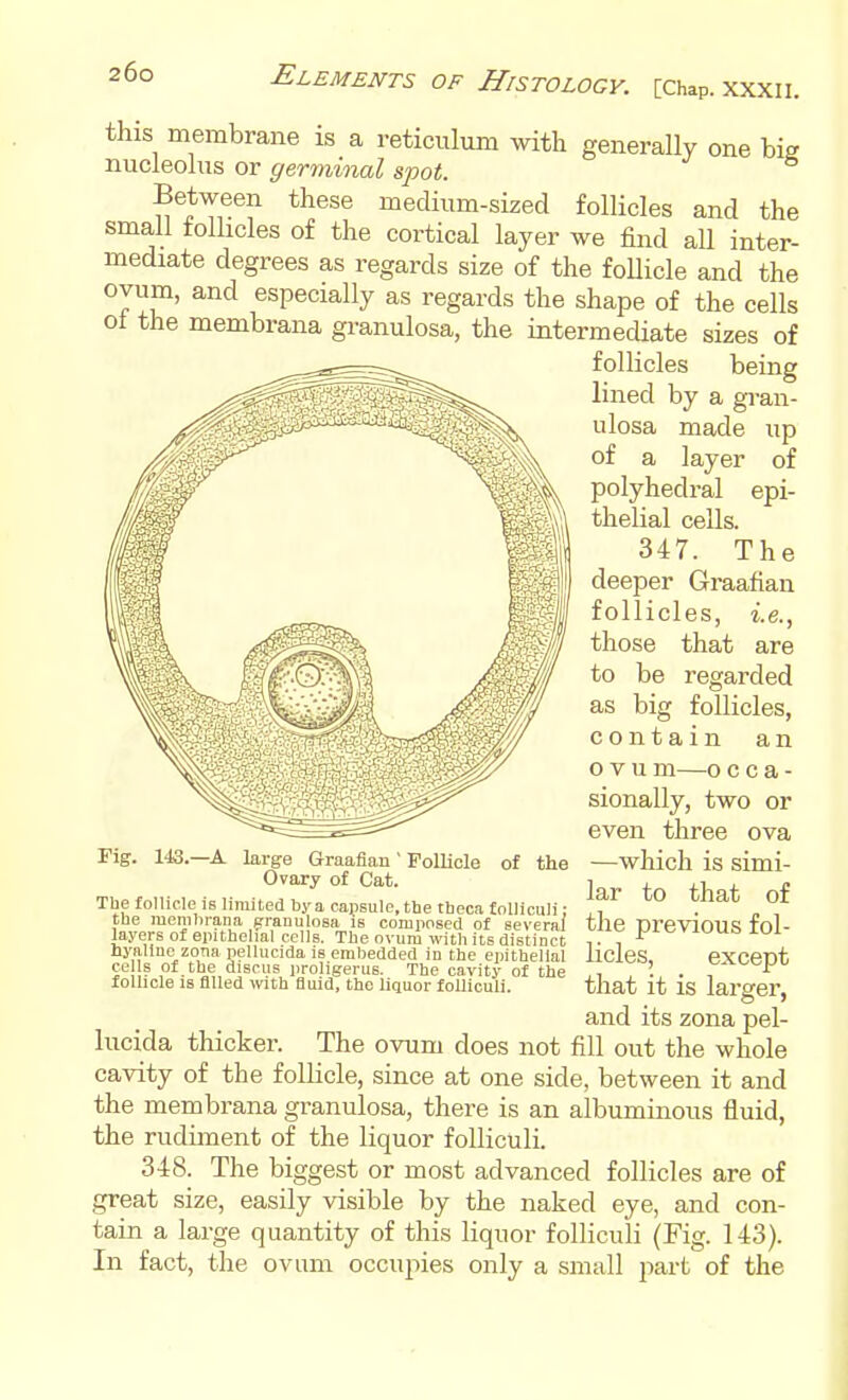 this membrane is a reticulum with generally one bie nucleolus or germinal spot. Between these medium-sized follicles and the small tolHcles of the cortical layer we find aU inter- mediate degrees as regards size of the follicle and the ovum, and especially as regards the shape of the cells ot the membrana granulosa, the intermediate sizes of follicles being lined by a gran- ulosa made up of a layer of polyhedral epi- thelial cells. 347. The deeper Graafian follicles, i.e., those that are to be regarded as big follicles, contain an o V u m—o c c a - sionally, two or even three ova —which is simi- lar to that of the previous fol- licles, except that it is larger, and its zona pel- lucida thicker. The ovum does not fill out the whole cavity of the follicle, since at one side, between it and the membrana granulosa, there is an albuminous fluid, the rudiment of the liquor folliculi. 348. The biggest or most advanced follicles are of great size, easily visible by the naked eye, and con- tain a large quantity of this liquor folliculi (Fig. 143). In fact, the ovum occupies only a small part of the Fig. 143.—A large Graafian Follicle of the Ovary of Cat. Tbe follicle is limited by a capsule, the tlieca folliculi; tbe membrana granulosa is comiiosed of several layers of einthelial cells. Tbe ovum with its distinct hyaline zona pellucida is embedded in the epithelial ce Is of tbe discus proligerus. The cavity of the folUcle 18 filled with fluid, the liquor folliculi.