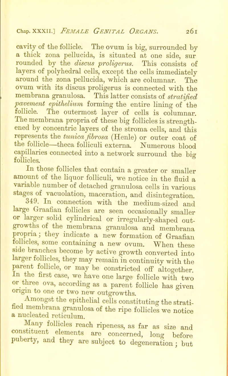 cavity of the follicle. The ovum is big, surrounded by a thick zona pellucida, is situated at one side, sur rounded by the discus proligerus. This consists of layers of polyhedral cells, except the cells immediately around the zona pellucida, which are columnar. The ovum with its discus proligerus is connected with the membrana granulosa. This latter consists of stratified pavement epithelium forming the entire lining of the follicle. The outermost layer of cells is columnar. The membrana propria of these big follicles is strength- ened by concentric layers of the stroma cells, and this represents the ttmica fibrosa (Henle) or outer coat of the follicle—theca foUiculi externa. Numerous blood capillaries connected into a network surround the bio- foUicles. In those follicles that contain a greater or smaller amount of the Uquor folliculi, we notice in the fluid a variable number of detached granulosa cells in various stages of vacuolation, maceration, and disintegration. 349. In connection with the medium-sized and large Graafian follicles are seen occasionally smaller or larger soUd cylindrical or irregularly-shaped out- growths of the membrana granulosa and membrana propria; they indicate a new formation of Graafian follicles, some containing a new ovum. When these side branches become by active growth converted into larger follicles, they may remain in continuity with the parent follicle, or may be constricted ofi altogether In the first case, we have one large follicle with two or three ova, according as a parent folKcle has given origin to one or two new outgrowths. Amongst the epithelial cells constituting the strati- fied membrana granulosa of the ripe follicles we notice a nucleated reticulum. Many follicles reach ripeness, as far as size and constituent elements are concerned, long before puberty, and they are subject to degeneration; but