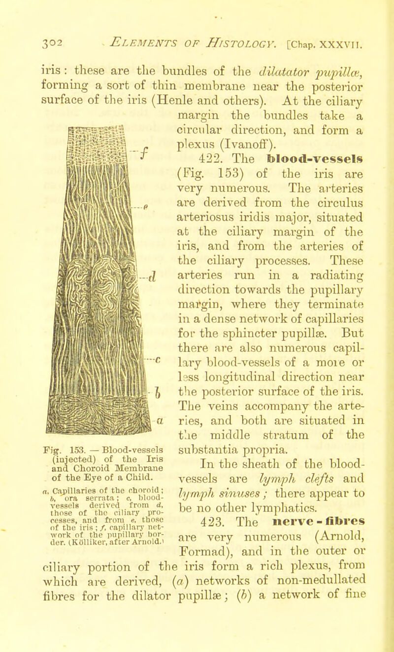 iris : these are the bundles of tlie dilatator pupillce, forming a sort of thin membrane near the posterior surface of the iris (Henle and others). At the ciliary- margin the bundles take a circular direction, and form a plexus (Ivanoif). 422. The blood-vessels (Fig. 153) of the iris are very numerous. The ai-teries are derived from the circulus arteriosus iridis major, situated at the ciliary margin of the iris, and from the arteries of the ciliary processes. These arteries run in a radiating direction towards the pupillaiy margin, where they terminate in a dense network of capillaries for the sphincter pupillse. But there are also numerous capil- lary blood-vessels of a moie or Isss longitudinal direction near the posterior siirface of the iris. The veins accompany the arte- ries, and both are situated in t'.ie middle stratum of the substantia propria. In the sheath of the blood- vessels are lym.ph clefts and hjm.ph sinuses; there appear to be no other lymphatics. 423. The nerve - fibres are very numerous (Arnold, Formad), and in the outer or ciliary portion of the iris form a rich plexus, from which are derived, («) networks of non-medullated fibres for the dilator papillae; {h) a network of fine Fig. 153. — Blood-vessels (iajected) of the Iris and Choroid Membrane of the Eye of a Child. n. Capillaries of the clinroid; ft, ora serrata; c, blood- vessels dei'ivod frnm d, those of the ciliary pro- cesses, and from e, those of the iris ; /. capillary net- work of the pupillary bor- der. (.KUIliker, after Arnold.'