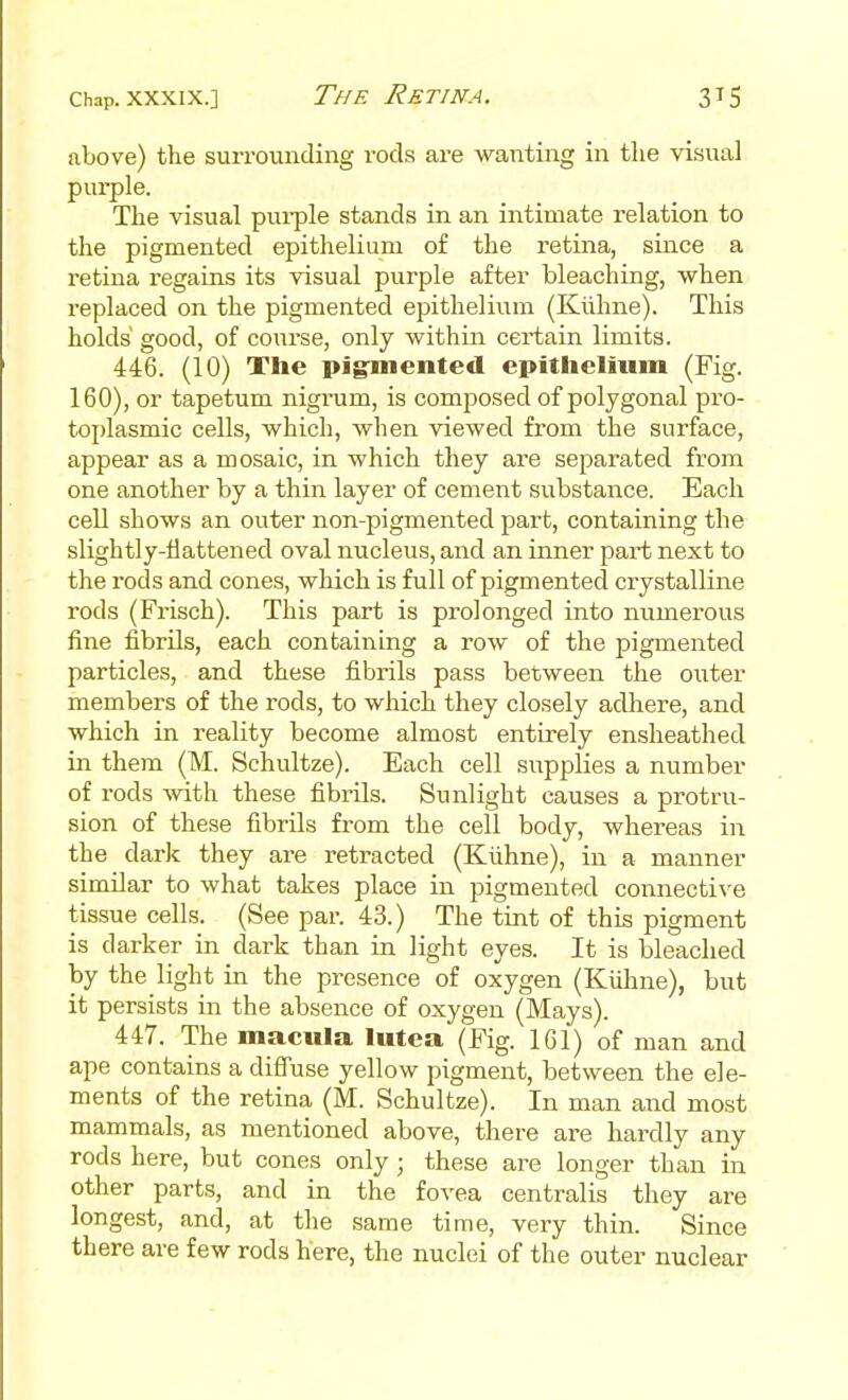 above) the surrounding rods are wanting in the vi.sual purple. The visual pui-ple stands in an intimate relation to the pigmented epithelium of the retina, since a retina regains its visual purple after bleaching, when replaced on the pigmented epithelium (Kiihne). This holds good, of course, only within certain limits. 446. (10) The pjg^niented epitlieliiim (Fig. 160), or tapetum nigrum, is composed of polygonal pro- tojjlasmic cells, which, when viewed from the surface, appear as a mosaic, in which they are separated from one another by a thin layer of cement substance. Each cell shows an outer non-pigmented part, containing the slightly-flattened oval nucleus, and an inner part next to the rods and cones, which is full of pigmented crystalline rods (Frisch). This part is prolonged into numerous fine fibrils, each containing a row of the pigmented particles, and these fibrils pass between the obiter members of the rods, to which they closely adhere, and which in reality become almost entirely ensheathed in them (M. Schultze). Each cell supplies a number of rods with these fibrils. Sunlight causes a protru- sion of these fibrils fi-om the cell body, whereas in the dark they are retracted (Kiihne), in a manner similar to what takes place in pigmented connective tissue cells. (See par. 43.) The tint of this pigment is darker in dark than in light eyes. It is bleached by the light in the presence of oxygen (Kiilme), but it persists in the absence of oxygen (Mays). 447. The macula lutea (Fig. 161) of man and ape contains a difTuse yellow pigment, between the ele- ments of the retina (M. Schultze). In man and most mammals, as mentioned above, there are hardly any rods here, but cones only; these are longer than in other parts, and in the fovea centralis they are longest, and, at the same time, very thin. Since there are few rods here, the nuclei of the outer nuclear