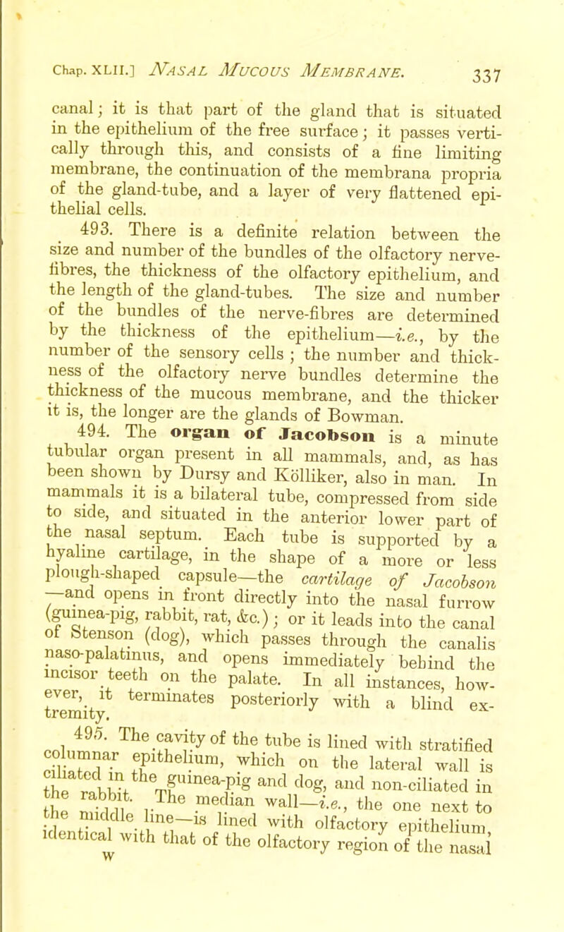 canal; it is that part of the gland that is situated in the epithelium of the free surface; it passes verti- cally through this, and consists of a line limiting membrane, the continuation of the membrana propria of the gland-tube, and a layer of very flattened epi- thelial cells. 493. There is a definite relation between the size and number of the bundles of the olfactory nerve- iibres, the thickness of the olfactory epithelium, and the length of the gland-tubes. The size and number of the bundles of the nerve-fibres are determined by the thickness of the epithelium—i.e., by the number of the sensory cells ; the number and thick- ness of the olfactory nerve bundles determine the thickness of the mucous membrane, and the thicker it IS, the longer are the glands of Bowman. 494. The organ of Jacobson is a minute tubular organ present in all mammals, and, as has been shown by Dursy and Kolliker, also in man. In mammals it is a bilateral tube, compressed from side to side, and situated in the anterior lower part of the nasal septum. Each tube is supported by a hyalme cartilage, in the shape of a more or less plough-shaped capsule~the cartilage of Jacobson —and opens m front directly into the nasal furrow (guinea-pig, rabbit, rat, &c.); or it leads into the canal ot btenson (dog), which passes through the canalis naso-palatinus, and opens immediately behind the incisor teeth on the palate. In all instances, how- tJemity posteriorly with a blind ex- 49.5. The cavity of the tube is lined with stratified on ^^^^IJ™' ^liich on the lateral wall is the rl^t Tf'''''^^ ^^^ ^^^ i^on-ciliated in the nSldt 1 ' ^'r^^ -^^^^~i.e., the one next to the middle line-is lined with olfactory epithelium Identical with that of the olfactory regioJ of the nasai