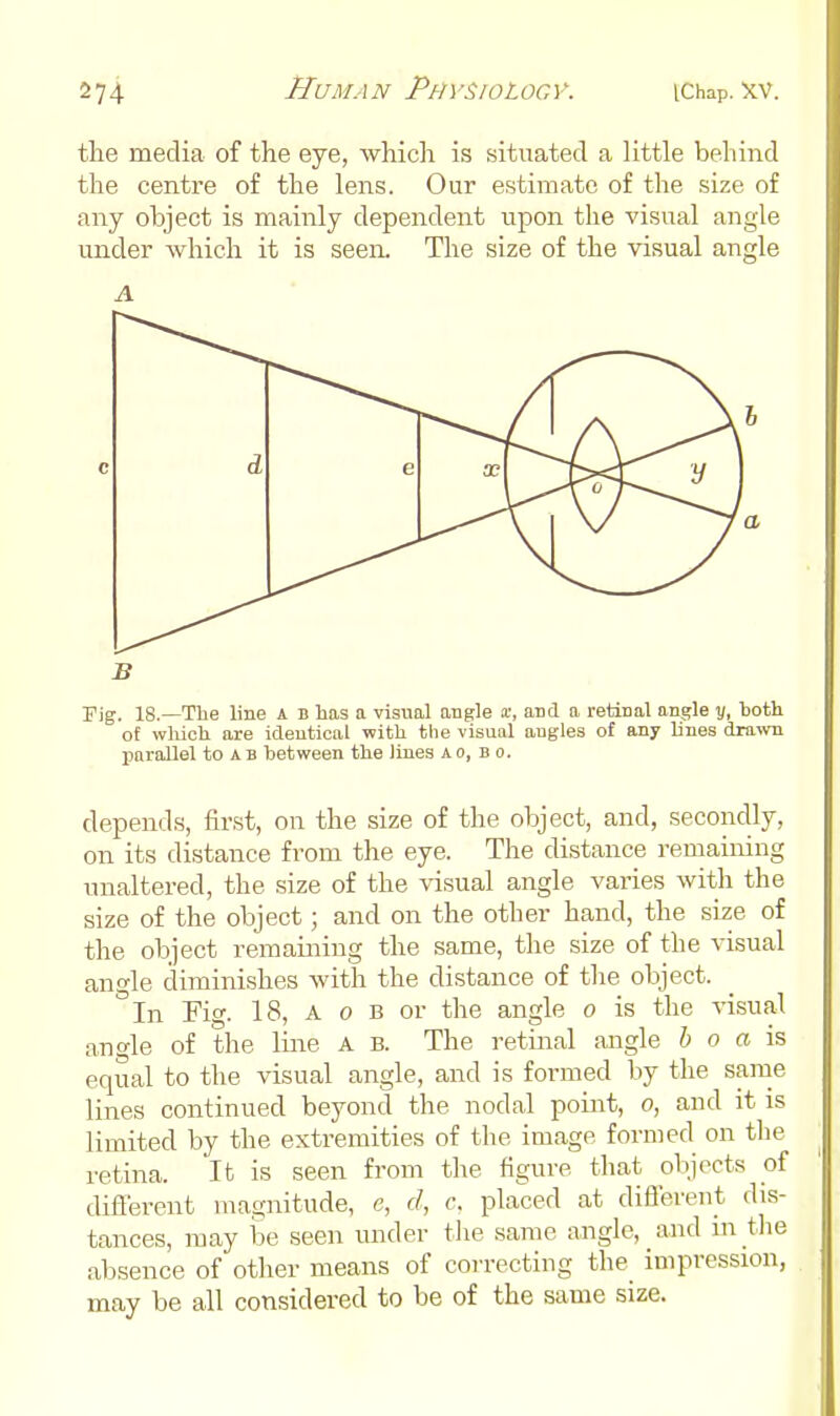 the media of the eye, which is situated a little behind the centre of the lens. Our estimate of the size of any object is mainly dependent upon the visual angle under which it is seen. The size of the visual angle A rig. 18.—The line A B has a visual angle x, and a retinal angle y, both of wliich are identical with tlie visual angles of any lines drawn parallel to A b between the lines a o, bo. depends, first, on the size of the object, and, secondly, on its distance from the eye. The distance remaining unaltered, the size of the visual angle varies with the size of the object; and on the other hand, the size of the object remaining the same, the size of the visual angle diminishes with the distance of the object. In Fig. 18, A 0 B or the angle o is the visual angle of the line A B. The retinal angle h o a rs, equal to the visual angle, and is formed by the same lines continued beyond the nodal point, o, and it is limited by the extremities of the image formed on the retina. It is seen from the figure that olijects of difierent magnitude, e, d, c. placed at difl'erent dis- tances, may be seen under the same angle, and in tlie absence of other means of correcting the impression, may be all considered to be of the same size.