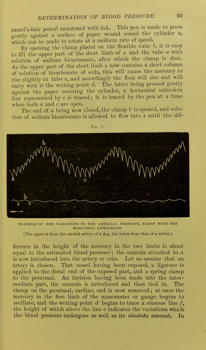 DETERMINATION OF BLOOD PRESSURE. camel's-hair pencil moistened with ink. This pen is made to press gently against a surface of paper wound round the cyHnder B, which can be made to rotate at a uniform rate of speed. By opening the clamp placed on the flexible tube 6, it is easy to fill the upper part of the short limb of A and the tube a with solution of sodium bicarbonate, after which the clamp is shut. As the upper part of the short limb a now contains a short column of solution of bicarbonate of soda, this will cause the mercury to rise slightly in tube c, and accordingly the float will rise and will carry with it the writing point d. The latter being pressed gently against the paper covering the cylinder, a horizontal unbroken line represented by e is traced; it is traced by the pen at a time when both a and c are open. The end of a being now closed, the clamp h is opened, and solu- tion of sodium bicarbonate is allowed to flow into a until the dif- FiG. 7. TRACINGS OF THE VARIATIONS IN THE ARTERIAL PRESSURE, TAKEN WITH THE MERCURIAL KYMOGRAPH. (The upper is from the carotid artery of a dog, the lower from that of a rabbit.) ference in the height of the mercury in the two limbs is about equal to the estimated blood pressure ; the cannula attached to a is now introduced into the artery or vein. Let us assume that an artery is chosen. That vessel having been exposed, a ligature is applied to the distal end of the exposed part, and a spring clamp to the proximal. An incision having been made into the inter- mediate part, the cannula is introduced and then tied in. The clamp on the proximal, cardiac, end is now removed; at once the mercury in the free limb of the manometer or gauge begins to oscillate, and the writing point d begins to trace a sinuous line /, the height of which above the Hne e indicates the variations which, the blood pressure undergoes as well as its absolute amount. In