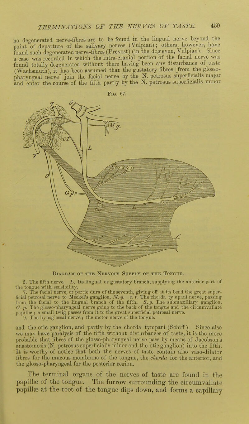 110 degenerated nerve-fibres are to be found in the lingual nerve beyond the point °of departure of the salivary nerves (Vulpian); others, however, have found such degenerated nerve-fibres (Prevost) (in the dog even, VulpianY Since a case was recorded in which the intra-cranial portion of the facial nerve was found totally degenerated without there having been any disturbance of taste (Wachsuiuth), it has been assumed that the gustatory fibres [fi-om the glosso- pharyngeal nerve] join the facial nerve by the N. petrosus superficialis major and enter the course of the fifth partly by the N. petrosus superficialis minor Fig. 67. Diagram of the Nervous Supply op the Tongue. 5. The fifth nerve. L. Its lingual or gustatory branch, supplying the anterior part of the tonptue with seusibDity. 7. The facial nerve, or portio dura of the seventh, giving off nt its bend the great super- ficial petrosal nerve to Meckel's ganglion, M.-g. c. t. The chorda tyiiipani nerve, passing from the facial to the lingual branch of the fifth. <S. g. The submaxillary ganglion. G. p. The giosso-pharyngeal nerve going to the back of tlxe tongue and the circumvallute papilla;; a small twig passes from it to the great superficial petrosal nerve. 9. The hypoglossal nerve ; the motor nerve of the tongue. and the otic ganglion, and partly by the chorda tympani (Schift). Since also Ave may have paralysis of the fifth without disturbances of taste, it is the more probable that fibres of the glosso-phiiryngeal nerve pass by means of Jacobson's anastomosis (N. petrosus superficialis minor and tlie otic ganglion) into the fifth. It is worthy of notice that both the nerves of toiste contain also vaso-dilator fibres for the mucous membrane of the tongue, the chorda for the anterior, and the giosso-pharyngeal for the posterior region. The terminal organs of the nerves of taste are found in the papillae of the tongue. The furrow surrounding the circumvallate papillae at the root of the tongue dips down, and forms a capillary