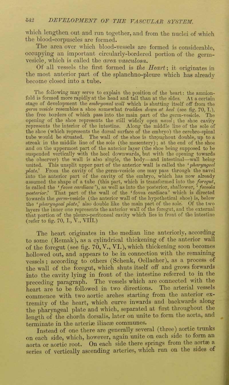 which lengthen out and run tog-ether, and from the nuclei of which the blood-corpuscles are formed. The area over which blood-vessels are formed is considerable, occupying an important circularly-bordered portion of the germ- vesicle^ which is called the area vasculosa. Of all vessels the first formed is the Heart; it originates in the most anterior part of the splanchno-pleure which has already become closed into a tube. The following may serve to explain tlie position of the heart: the amuion- fold is formed more rapidly at the head and tail than at the sides. At a certain stage of development the embryonal wall which is shutting itself off from the gei-m vesicle resembles a shoe somewhat trodden down at hed (see fig. 70, T.), the free borders of which pass into the main part of the germ-vesicle. The opening of the shoe represents the still widely open navel \ the shoe cavity represents the interior of the intestine. Along the middle line of the sole of the shoe (which represents the dorsal surface of the embryo) the cerehro-spinal tube would be sitiiated. The wall of the shoe is throughout double, up to a streak in the middle line of the sole (the mesentery); at the end of the shoe and on the uppermost part of the anterior layer (the shoe being supposed to be suspended vertically with the heel downwards, but with the opening towards the observer) the wall is also single, the body—and intestinal—wall being united. This unsplit upper part of the anterior wall is called the 'pharyngeal jylatc,^ Fi'oui the cavity of the germ-vesicle one may pass through the navel into the anterior part of the cavity of the embryo, which has now already assumed the shape of a tube (this part, which is transformed into the foreguf , is called the 'fovea cardiaca'), as well as into the posterior, shallower, ' foveola posteriori Tliat part of the wall of the 'fovea cardiaca' which is directed towards the r/e/vyj-vesicle (the anterior wall of the hypothetical shoe) is, below the 'pharyngeal plate,^ also double like the main part of the sole'. Of the two la3'ers the inner one represents the anterior wall of the foregut, and the external that portion of the pleuro-peritoneal cavity which lies in front of the intestine (refer to fig. 70, L, V., VIII.) The heart originates in the median line anteriorly, according to some (Remak), as a cylindrical thickening of the anterior wall of the foregut (see fig. 70, V., VI.), which thickening soon becomes hollowed out, and appears to be in connection with the remaining vessels ; according to others (Schenk, Oellacher), as a process of the wall of the foregut, which shuts itself off and grows forwards into the cavity lying in front of the intestine referred to in the preceding paragraph. The vessels which are connected with the lieart are to be followed in two directions. The arterial vessels commence with two aortic arches starting from the anterior ex- tremity of the heart, which curve inwards and backwards along the pharyngeal plate and which, separated at first throughout the length of the chorda dorsalis, later on unite to form the aorta, and terminate in the arterise iliaca3 communes. Instead of one there are generally several (three) aortic trunks on each side, which, however, again unite on each side to form an aorta or aortic root. On each side there springs from the aortse a series of vertically ascending arteries, which run on the sides of
