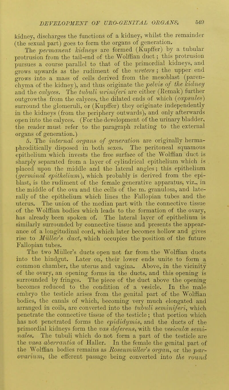 kidney, discharges the functions of a kidney, whilst the remainder (the sexual part) goes to form the organs of generation. The 'permanent kidneys are formed (Kupffer) by a tubular protrusion from the tail-end of the Wolffian duct; this protrusion pursues a course parallel to that of the primordial kidneys, and grows upwards as the rudiment of the ureters ; the upper end grows into a mass of cells derived from the mesoblast (paren- chyma of the kidney), and thus originate the pelvis of the kidney and the calyces. The tubuli uriniferi are either (Eemak) further outgrowths from the calyces, the dilated ends of which {capsules) surround the glomeruli, or (Kupffer) they originate independently in the kidneys (from the periphery outwards), and only afterwards open into the calyces. (For the development of the urinary bladder, the reader must refer to the paragraph relating to the external organs of generation.) o. The internal organs of generation are originally herma- phroditically disposed in both sexes. The peritoneal squamous epithelium which invests the free surface of the Wolffian duct is sharply separated from a layer of cylindrical epithelium which is placed upon the middle and the lateral angles; this epithelium {germincd epithelium), which probably is derived from the epi- blast, is the rudiment of the female generative apparatus, viz., in the middle of the ova and the cells of the m. granulosa, and late- rally of the epithelium which lines the Fallopian tubes and the uterus. The union of the median part with the connective tissue of the Wolffian bodies which leads to the formation of the ovary, has already been spoken of. The lateral layer of epithelium is similarly surrounded by connective tissue and presents the appear- ance of a longitudinal cord, which later becomes hollow and gives rise to Miiller^s duct, which occupies the position of the future Fallopian tubes. The two Miiller's ducts open not far from the Wolffian ducts into the hindgiat. Later on, their lower ends unite to form a common chamber, the uterus and vagina. Above, in the vicinity of the ovary, an opening forms in the ducts, and this opening is surrounded by fringes. Tlie piece of the duct above the opening becomes reduced to the condition of a vesicle. In the male embryo the testicle arises from the genital part of the Wolffian bodies, the canals of which, becoming very much elongated and arranged in coils, are converted into the tubuli seminiferi, which penetrate the connective tissue of the testicle; that portion which has not penetrated forms the epididymis, and the ducts of the primordial kidneys form the vas deferens, with the vesiculce semi- nales. The tubuli which do not form a part of the testicle are the vasa aberrantia of Haller. In the female the genital part of the Wolffian bodies remains as Rosenmuller''s organ, or the par- ovarium, the efferent passage being converted into the round