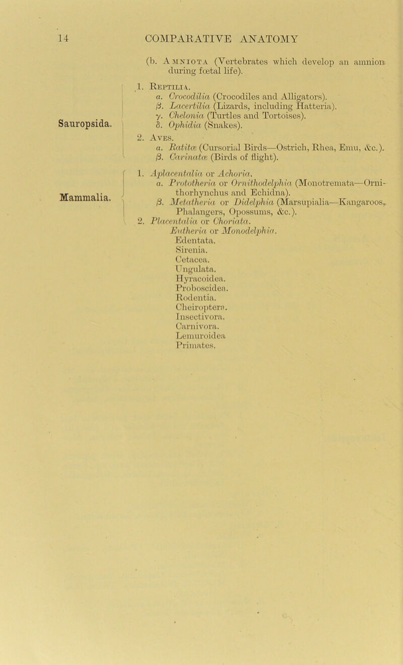 Sauropsida. (1). Amniota (Vertebrates which develop an ainuioii during fostal life). 1. Rei>tili\. a. CrococUlia (Crocodiles and Alligators). /i. Lacertilia (Lizards, including Hatteria). y. Chelonia (Turtles and Tortoises). b. Opliidia (Snakes). 2. Aves. a. Eatitoi (Cursorial Birds—Ostrich, Rhea, Emu, itc.). 0. Carinatoi (Birds of flight). Mammalia. 1. Aplacentnlia or Achoria. a. Prutothena or Ornithodelphia (Monotremata—Orni- thorhynchus and Echidna). /3. Mctatheria or Didelphia (Marsupialia—KangarooSy Plialangers, Opossums, &c.). 2. Plarentaiia or Charuda. Entheria or Monodelphia. Edentata. Sirenia. Cetacea. Ungulata. Hyracoidea. Proboscidea. Rodentia. Clieiroi)terf). Insectivora. Carnivora. Lemuroidea Primates.