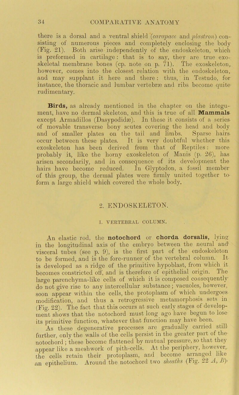 there is a dorsal and a ventral shield {carcqoacc and 2}instron) con- sisting of numerous pieces and completely enclosing the body (Fig. 21). Both arise independently of the endoskeleton, which is preformed in cartilage: that is to say, they are true exo- skeletal membrane bones (cp. note on p. 71). The exoskeleton,, however, comes into the closest relation with the endoskeleton, and may supplant it here and there: thus, in Testudo, for instance, the thoracic and lumbar vertebra3 and ribs become quite- rudimentary. Birds, as already mentioned in the chapter on the integu- ment, have no dermal skeleton, and this is true of all Mammals except Armadillos (Dasypodidse). In these it consists of a series- of movable transverse bony scutes covering the head and body and of smaller plates on the tail and limbs. Sparse hairs occur between these plates. It is very doubtful whether this exoskeleton has been derived from that of Reptiles: more jjrobably it, like the homy exoskeleton of Manis (p. 26), has arisen secondarily, and in consequence of its development the hairs have become reduced. In Glyptodon, a fossil member of this group, the dermal plates were firmly united together to- form a large shield which covered the whole body. 2. ENDOSKELETON. I. VERTEBRAL COLUMN. An elastic rod, the notochord or chorda dorsalis, lying in the longitudinal axis of the embryo between the neural and' visceral tubes (see p. 9), is the first part of the endoskeleton to be formed, and is the fore-runner of the vertebral column. It is developed as a ridge of the primitive hypoblast, from which it becomes constricted olf, and is therefore of epithelial origin. The large parenchyma-like cells of which it is composed consequently do not give rise to any intercellular substance; vacuoles, however, soon appear within the cells, the protoplasm of which undergoes modification, and thus a retrogressive metamorphosis sets in (Fig. 22). The fact that this occurs at such early stages of develop- ment shows that the notochord must long ago have begun to lose- its primitive function, whatever that function may have been. As these degenerative processes are gradually carried still further, only the walls of the cells persist in the greater part of the- notochord ; these become flattened by mutual pressure, so that they appear like a meshwork of pith-cells. At the periphery, however, the cells retain their protoplasm, and become arranged like an epithelium. Around the notochord two sheaths (Fig. 22 yi, 2))*