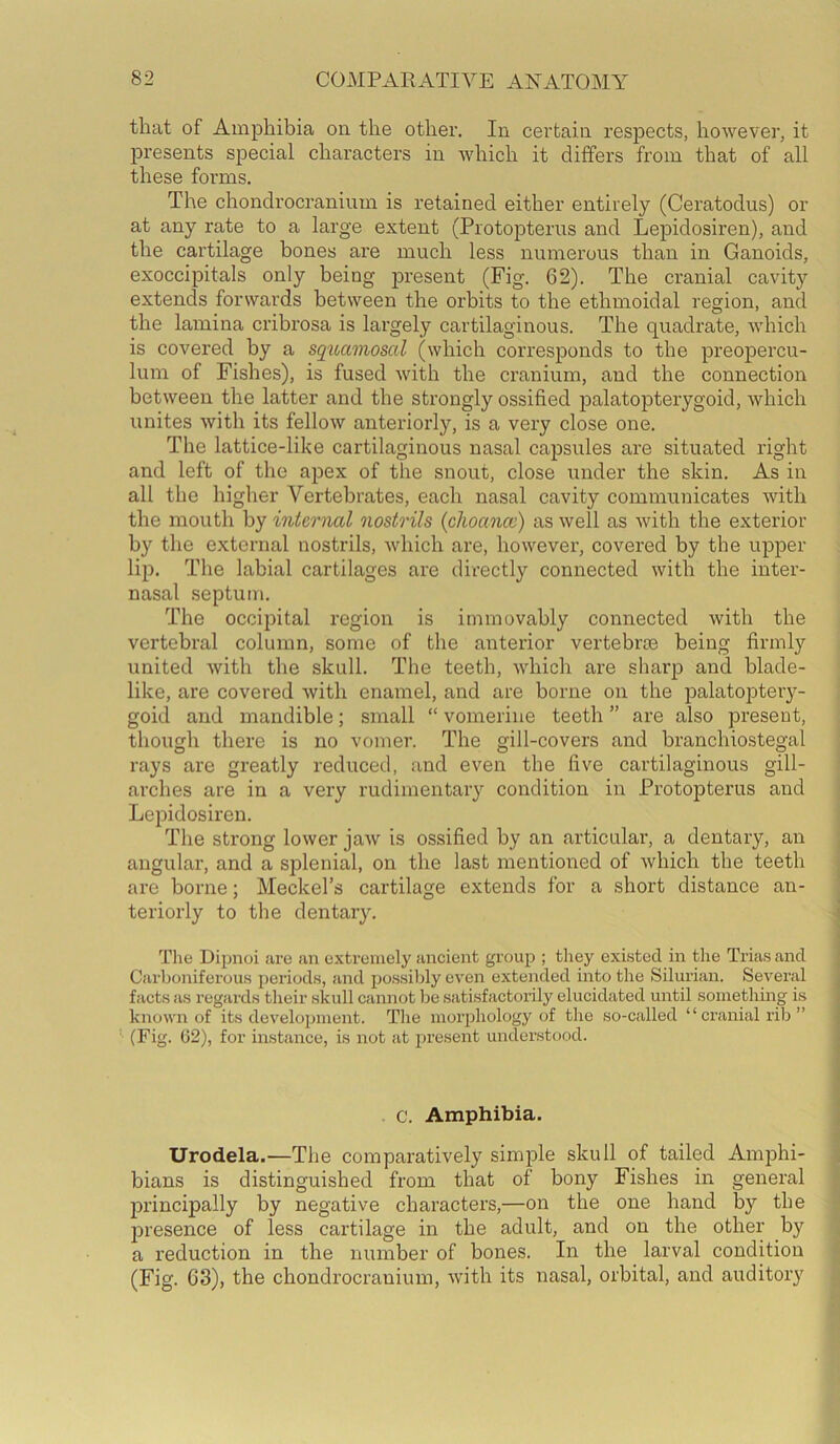 that of Amphibia on the other. In certain res^Dects, however, it presents special characters in which it differs from that of all these forms. The chondrocraninm is retained either entirely (Ceratodus) or at any rate to a large extent (Protopterus and Lepidosiren), and the cartilage bones are much less numerous than in Ganoids, exoccipitals only being j^resent (Fig, 62), The cranial cavity extends forwards between the orbits to the ethmoidal region, and the lamina cribrosa is largely cartilaginous. The quadrate, Avhich is covered by a sqztamosal (which corresponds to the preopercu- lum of Fishes), is fused with the cranium, and the connection between the latter and the strongly ossified palatopterygoid, which unites with its fellow anteriorly, is a veiy close one. The lattice-like cartilaginous nasal capsules are situated right and left of the apex of the snout, close under the skin. As in all the higher Vertebrates, each nasal cavity communicates with the mouth by internal nostrils (choancc) as well as with the exterior by the external nostrils, Avhich are, however, covered by the upper lip. The labial cartilages are dii’ectly connected with the inter- nasal septum. The occipital region is immovably connected with the vertebral column, some of the anterior vertebras being firmly united Avith the skull. The teeth, which are sharp and blade- like, are covered Avith enamel, and are borne on the palatoptery- goid and mandible; small “ vomerine teeth ” are also present, though there is no vomer. The gill-covers and branchiostegal rays are greatly reduced, and even the five cartilaginous gill- arches are in a very rudimentary condition in Protopterus and Lepidosiren. The strong loAver jaAv is ossified by an articular, a dentary, an angular, and a s|3lenial, on the last mentioned of Avhich the teeth are borne; Meckel’s cartilage extends for a short distance an- teriorly to the dentary. The Dipnoi are an extremely ancient group ; tliey existed in the Trias and Carboniferous periods, ;ind possibly CA'en extended into the Silurian. SeA’^eral facts as regards their skull cannot be satisfactorily elucidated until something is known of its development. The morphology of the so-called “cranial rib” (Fig. (12), for instance, is not at present understood. C. Amphibia. Urodela.—The comparatively simple skull of tailed Amphi- bians is distinguished from that of bony Fishes in general jDrincipally by negative characters,—on the one hand by the jDresence of less cartilage in the adult, and on the other by a reduction in the number of bones. In the larval condition (Fig. 63), the chondrocraninm, Avith its tiasal, orbital, and auditory