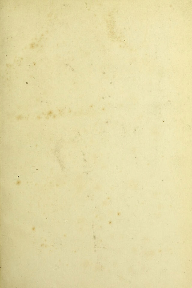 digitised image 3