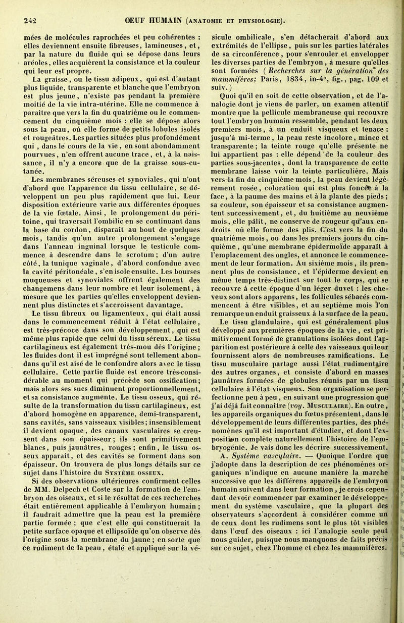 mees de molecules raprochees et peu coherentes ; elles deviennent ensuile fibreuses, lamineuses, et, par la nature du fluide qui se depose dans leurs areoles, elles acquierent la consistance et la couleur qui leur est propre. La graisse , ou le lissu adipeuA, qui est d’autant plus liquide, transparenle et blanche que I’enibryon est plus jeune, n’existe pas pendant la premiere moitie de la vie intra-uterine. Elle ne commence a paraitre que vers la fin du quatrieme ou le commen- cement du cinquieme mois ; elle se depose alors sous la peau, ou elle forme de petits lobules isoles et rougeatres.Les parties situees plus profondement qui , dans le cours de la vie , en sont abondamment pourvues, n’en offrenlaucune trace, et, a la nais- sance, il n’y a encore que de la graisse sous-cu- tanee. Les membranes sereuses et synoviales, qui u’ont d’abord que I’apparence du tissu cellulaire, se de- veloppent un peu plus rapidement que lui. Leur disposition exterieurc varie aux differentes epoques de la vie fcetale. Ainsi, le prolongement du peri- toine, qui traversait I’ombilic en se continuant dans la base du cordon, disparait au bout de quelques mois, tandis qu’un autre prolongement s’engage dans I’anneau inguinal lorsque le testicule com- mence a descendre dans le scrotum; d’un autre cote, la tunique vaginale, d’abord confondue avec la cavite peritoncale, s’enisoleensuite. Les bourses muqueuses et synoviales offrent egalement des changemens dans leur nombre et leur isolement, a mesure que les parties qu’elles cnveloppent devien- nent plus distinctes et s’accroissent davantage. Le tissu fibreux ou ligamenteux, qui etait aussi dans le commencement reduit a I’etat cellulaire, est tres-precoce dans son developpement, qui est memeplus rapide que celui du tissu sereux. Le tissu cartilagineux est egalement tres-mou des I’origine; les Guides dont il est impregne sont tellement abon- dans qu’il est aise de le confondre alors a>ec le tissu cellulaire. Cette partie Guide est encore tres-consi- derable au moment qui precede son ossification; mais alors ses sues diminuent proportionnellement, etsa consistance augmente. Le tissu osseux, qui re- sulte de la transformation du tissu cartilagineux, est d’abord homogene en apparence, demi-transparent, sans cavites, sans vaisseaux visibles; insensiblement il devient opaque, des canaux vasculaires se creu- sent dans son epaisseur; ils sont primitivement blancs, puis jaunatres, rouges; enfin, le tissu os- seux apparait, et des cavites se forment dans son epaisseur. On trouvera de plus longs details sur ce sujet dans I’histoire du Systeme osseux. Si des observations ulterieures confirment celles de MM. Delpech et Coste sur la formation de I’em- bryon des oiseaux, et si le resultat de ces recherches etait entierement applicable a I’embryon humain ; il faudrait admottre que la peau est la premiere partie formee ; que e’est elle qui constituerait la petite surface opaque et ellipsoYde qu’on observe des I’origine sous la membrane du jaune ; en sorte que ce rudiment de la peau , etale et applique sur la ve- sicule ombilicale, s’en detacherait d’abord aux extremites de I’ellipse, puis sur les parties laterales de sa circonference , pour s’enrouler et envelopper les diverses parties de I’embryon, a mesure qu’elles sont formees (Recherches sur la generaliotC des mammiferes; Paris, 1834, in-4°, fig., pag. 109 et suiv.) Quoi qu’il en soit de cette observation, et de I’a- nalogie dont je viens de parler, un examen attentif montre que la pellicule membraneuse qui recouvre tout I’embryon humain ressemble, pendant les deux premiers mois, a un enduit visqueux et tenace : jusqu’a mi-terme, la peau reste incolore, mince et transparente; la teinle rouge qu’elle presente ne lui appartient pas : elle depend de la couleur des parties sous-jacentes, dont la transparence de cette membrane laisse voir la tcinte particuliere. Mais vers la fin du cinquieme mois, la peau devient lege- rement rosee, coloration qui est plus fonedfe a la face, a la paume des mains et a la plante des pieds; sa couleur, son epaisseur et sa consistance augmen- teut successivement, et, du huitieme au neuvieme mois, elle palit, ne conserve de rougeur qu’aux en- droils oii elle forme des plis. C’est vers la fin du quatrieme mois , ou dans les premiers jours du cin- quieme , qu’une membrane epidermo'ide apparait a I’emplaceraent des ongles, et annonce le commence- ment de leur formation. Au sixieme mois , ils pren- nent plus de consistance, et I’epidenne devient en meme temps tres-distinct sur tout le corps, qui se recouvre a cette epoque d’un leger duvet : les che- veux sont alors apparens, les follicules sebaces com- mencent a etre visibles, et au septieme mois Von remarqueun enduit graisseux a la surface de la peau. Le lissu glandulaire, qui est generalement plus developpe aux premieres epoques de la vie , est pri- milivement forme de granulations isolees dont I’ap- parilionest posterieure a celle des vaisseaux qui leur fournissent alors de nombreuses ramifications. Le tissu musculaire partage aussi I’etat rudiment^re des autres organes, et consiste d’abord en masses jaunatres formees de globules reunis par un tissu cellulaire a I’etat visqueux. Son organisation se per- feclionne peu a peu, en suivant une progression que j’aideja faitconnaitre {voy. Musculaike).En outre, les appareils organiques du foetuspresentenl, dansle developpement de leurs differentes parties, des phe- nomenes qu’il est important d’etudier, et dont I’ex- positis»n complete naturellement I’histoire de I’ena- bryogenie. Je vais done les decrire successivement. A. Sysleme vascylaire. — Quoique I’ordre que j’adopte dans la description de ces phenomenes or- ganiques n’indique en aucune maniere la marche successive que les differens appareils de I’embryon humain suivent dans leur formation, je crois cepen- dant devoir commencer par examiner le developpe- ment du systeme vasculaire, que la plupart des observateurs s’a?cordent a considerer comme un de ceux dont les rudimens sont le plus tot visibles dans I’oeuf des oiseaux : ici I’analogie seule peut nous guider, puisque nous manquons de fails precis sur ce sujet, chez I’homme et chez les mammiferes.