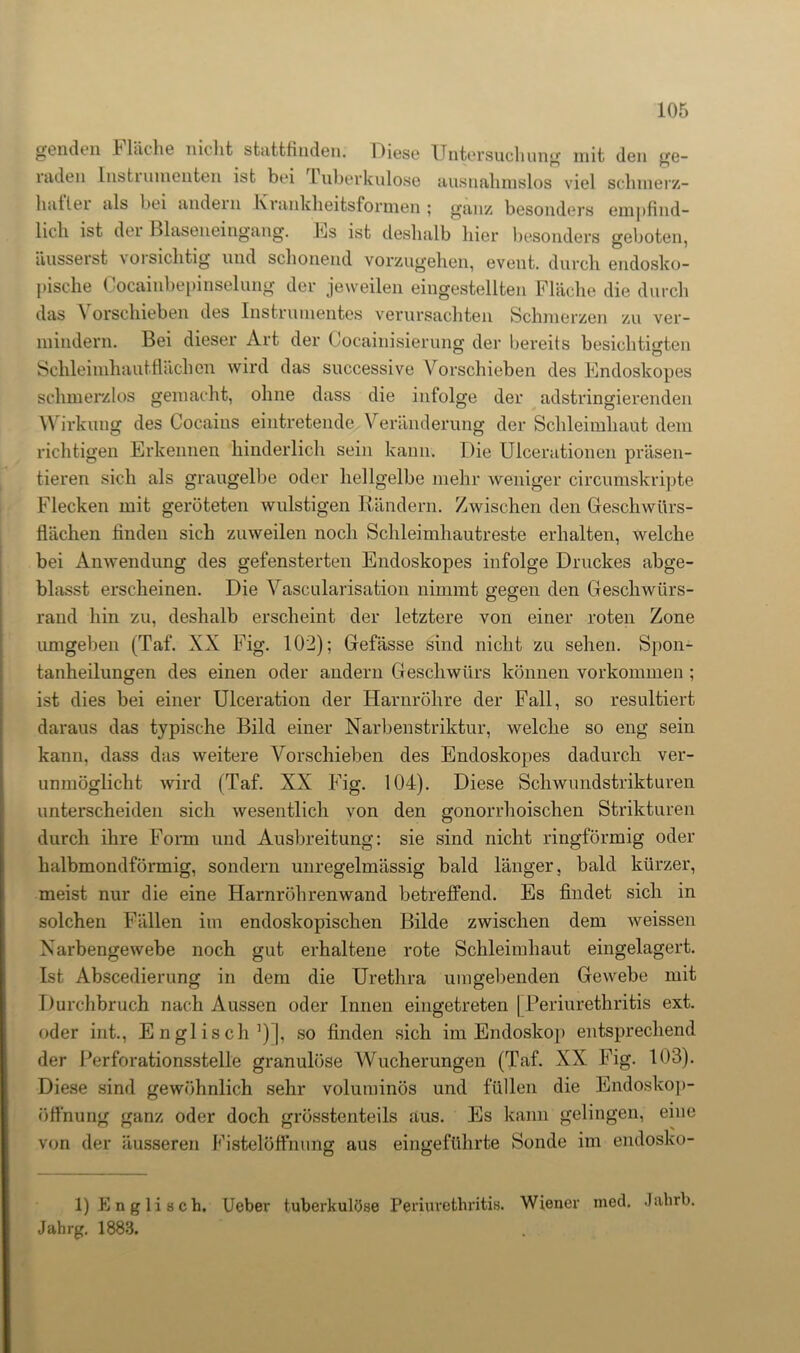 genden Fläche nicht stattfinden. Diese Untersuchung mit den ge- laden Insti uinenten ist bei luberkulose ausnahmslos viel schmerz- hatlei als bei andern hiankheitsformen ; ganz besonders empfind- lich ist dei Blaseneingang. Es ist deshalb liier besonders geboten, äusserst \orsichtig und schonend vorzugehen, event. durch endosko- pische Cocainbepinselung der jeweilen eingestellten Fläche die durch das Yorschieben des Instrumentes verursachten Schmerzen zu ver- mindern. Bei dieser Art der Cocainisierung der bereits besichtigten Schleimhautflächon wird das successive Vorschieben des Endoskopes schmerzlos gemacht, ohne dass die infolge der adstringierenden Wirkung des Cocains eintretende, Veränderung der Schleimhaut dem richtigen Erkennen hinderlich sein kann. Die Ulcerationen präsen- tieren sich als graugelbe oder hellgelbe mehr weniger circumskripte Flecken mit geröteten wulstigen Rändern. Zwischen den Geschwürs- flächen finden sich zuweilen noch Schleimhautreste erhalten, welche bei Anwendung des gefensterten Endoskopes infolge Druckes abge- blasst erscheinen. Die Vascularisation nimmt gegen den Geschwürs- rand hin zu, deshalb erscheint der letztere von einer roten Zone umgeben (Taf. XX Fig. 102); Gefässe sind nicht zu sehen. Spon- tanheilungen des einen oder andern Geschwürs können Vorkommen ; ist dies bei einer Ulceration der Harnröhre der Fall, so resultiert daraus das typische Bild einer Narbenstriktur, welche so eng sein kann, dass das weitere Vorschieben des Endoskopes dadurch ver- unmöglicht wird (Taf. XX Fig. 104). Diese Schwundstrikturen unterscheiden sich wesentlich von den gonorrhoischen Strikturen durch ihre Form und Ausbreitung: sie sind nicht ringförmig oder halbmondförmig, sondern unregelmässig bald länger, bald kürzer, meist nur die eine Harnröhrenwand betreffend. Es findet sich in solchen Fällen im endoskopischen Bilde zwischen dem weissen Xarbengewebe noch gut erhaltene rote Schleimhaut eingelagert. Ist Abscedierung in dem die Urethra umgebenden Gewebe mit Durchbruch nach Aussen oder Innen eingetreten | Periurethritis ext. oder int., Englisch1)], so finden sich im Endoskop entsprechend der Perforationsstelle granulöse Wucherungen (Taf. XX Fig. 103). Diese sind gewöhnlich sehr voluminös und füllen die Endoskop- öffnung ganz oder doch grösstenteils aus. Es kann gelingen, eine von der äusseren Fistelöffnung aus eingeführte Sonde im endosko- 1) Englisch. Uebev tuberkulöse Periurethritis. Wiener med. Jahrb. Jahrg. 1883.