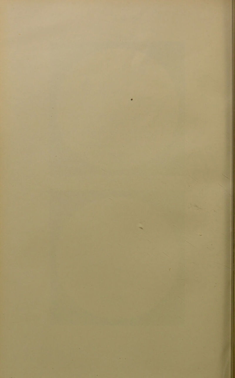 '
