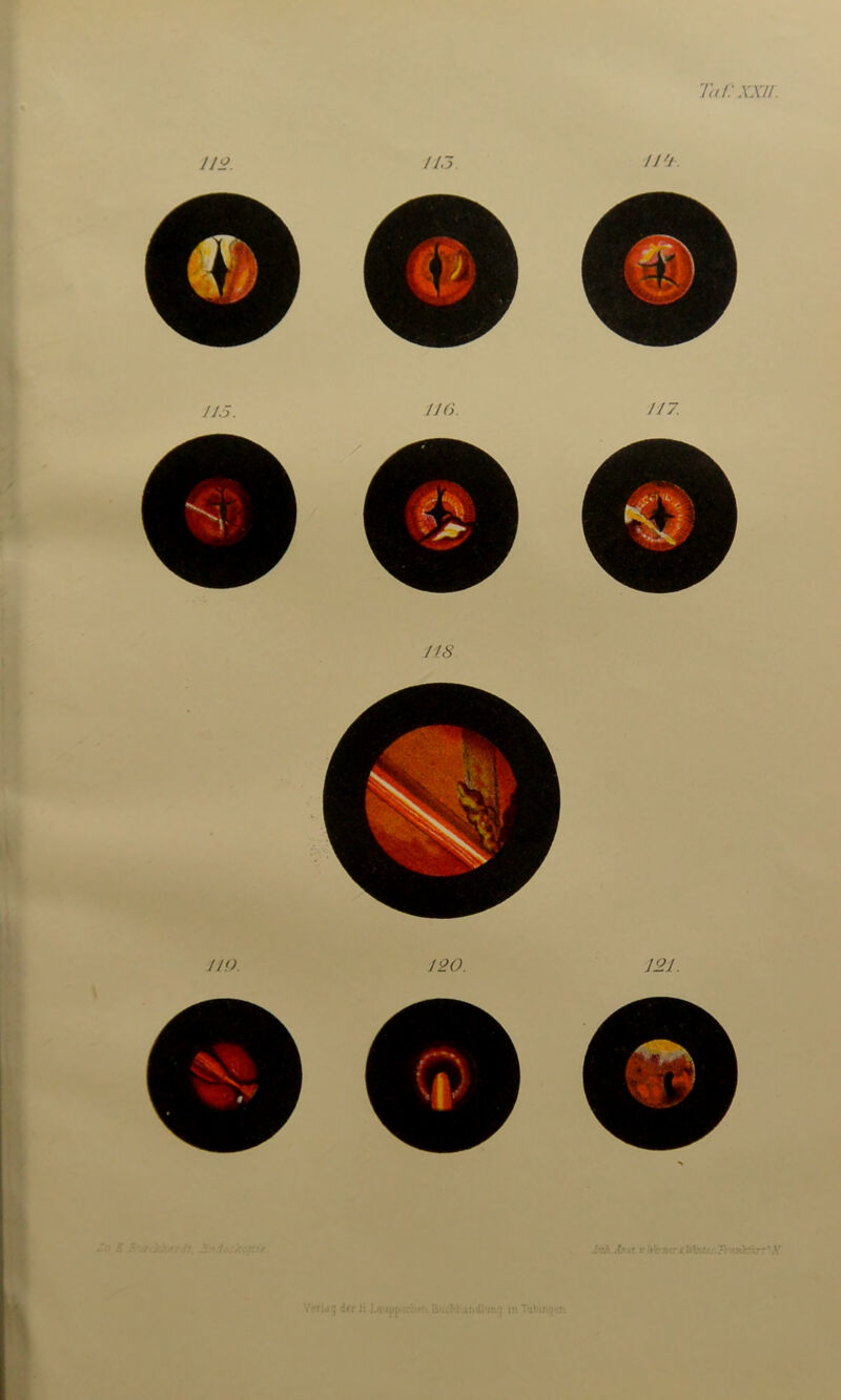 112. H3. u't 110. 120. 121. f i > Ink. An st i* k’zr/ttir X It V;
