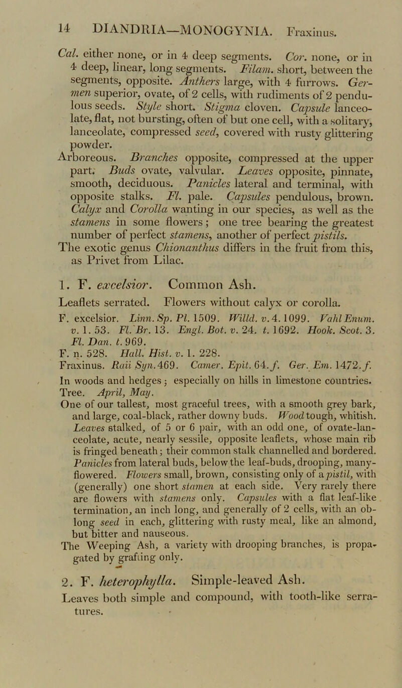 Cal. either none, or in 4 deep segments. Cor. none, or in 4 deep, linear, long segments. Filam. short, between the segments, opposite. Anthers large, with 4 furrows. Gei- inen superior, ovate, of 2 cells, with rudiments of 2 pendu- lous seeds. Style short. Stigma cloven. Capsule lanceo- late, flat, not bursting, often ol but one cell, with a solitary, lanceolate, compressed seed, covered with rusty glittering powder. Arboreous. Branches opposite, compressed at the upper part; Buds ovate, valvular. Leaves opposite, pinnate, smooth, deciduous. Panicles latei’al and terminal, with opposite stalks. FI. pale. Capsules pendulous, bi’own. Calyx and Corolla wanting in our species, as well as the stamens in some flowers ; one tree bearing the greatest number of perfect stamens, another of perfect pistils. The exotic genus Chionanthus differs in the fruit from this, as Privet from Lilac. 1. F. excelsior. Common Ash. Leaflets serrated. Flowers without calyx or corolla. F, excelsior. Linn.Sp.Pl.\5Q9. Willd. V.4A099. FahlEnum. u. 1.53. FI.'Br. 13. Engl. Bot. v. 24. 1692. Hook. Scot. 3. FI. Dan. t. 969. F. n. 528. Hall. Hist. V. 1.223. Fraxinus. Baii Syn.469. Ca?/ier, Epit. 64.^. Ger. Em. 1472./. In woods and hedges j especially on hills in limestone countries. Tree. April, May. One of our tallest, most graceful trees, with a smooth grey bark, and large, coal-black, rather downy buds. Wood tough, whitish. Leaves stalked, of 5 or 6 pair, with an odd one, of ovate-lan- ceolate, acute, nearly sessile, opposite leaflets, whose main rib is fringed beneath; their common stalk channelled and bordered. Panicles from lateral buds, below the leaf-buds, drooping, many- flowered. Flowers small, brown, consisting only of a. pistil, with (generally) one short stamen at each side. Very rarely there are flowers with stamens only. Capsules with a flat leaf-like termination, an inch long, and generally of 2 cells, with an ob- long seed in each, glittering with rusty meal, like an almond, but bitter and nauseous. The Weeping Ash, a variety with drooping branches, is propa- gated by grafting only. 2. F. hetei'ophylla. Simple-leaved Asb. Leaves both simple and compound, with tooth-like serra- tures.