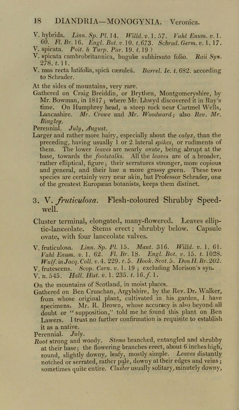 V. hybricla. Lmn. Sp. PI. 14. mild. v. 1. 57. Vahl Enum. v. I. 60. Fl.Br.\6. Engl. Bot.vAO. t.673. Schrad.Germ.v. 1. 17. V. spicata. Foil. 8^ Turp. Par. 19. 19 ? V. spicata cambrobritannica, buguke subhirsuto folio. Rail Syn. 278. 1 1. V. mas recta latifolia, spied caerule^. Barrel. Ic. t. 682. according to Schrader. At the sides of mountains, very rare. Gathered on Craig Breiddin, or Brytlien, Montgomeryshire, by Mr. Bowman, in 1817} where Mr. Lhwyd discovered it in Ray’s time. On Humphrey head, a steep rock near Cartmel Wells, Lancashire. Mr. Crowe and Mr. Woodward; also Rev. Mr. Bingley. Perennial. July, August. Larger and rather more hair)', especially about the calyx, than the preceding, having usually 1 or 2 lateral spikes, or rudiments of them. The lower leaves are nearly ovate, being abrupt at the base, towards the footstalks. All the leaves are of a broader, •rather elliptical, figure} their serratures stronger, more copious and general, and their hue a more grassy green. These two species are certainly very near akin, but Professor Schrader, one of the greatest Europaean botanists, keeps them distinct. 3. V. fruticulosa. Flesh-coloured Shrubby Speed- well. Cluster terminal, elongated, many-flowered. Leaves ellip- tic-lanceolate. Stems erect; shrubby below. Capsule ovate, with four lanceolate valves. V. fruticulosa. Linn. Sp. PI. 15, Mant. 316. Willd. v. 1. 61. Vahl Enum. v. 1. 62. FL. Br. IS. Engl. Bot. v. 15. t. 1028. Wulf. in Jacq. Coll. V.4. 229. t. 5. Hook. Scot. 5. DonH.Br.262. V. frutescens. Scop. Cam. u. 1. 19 } e.\cluding Morison’s syn. V. n.545. Hall. Hist. V. 1.235. t. 16.f. I. On the mountains of Scotland, in moist places. Gathered on Ben Cruachan, Argylshire, by the Rev. Dr. Walker, from whose original plant, cultivated in his garden, I have Specimens. Mr. R. Brown, whose accuracy is also beyond all doubt or “ supposition,” told me he found this plant on Ben Lawers. I trust no further confirmation is requisite to establish it as a native. Perennial. July. Root strong and woody. Stems branched, entangled and shrubby at their base} the flowering branches erect, about 6 inches high, round, slightly downy, leafy, mostly simple. Leaves distantly notched or serrated, rather pale, downy at their edges and veins} sometimes quite entire. Cluster usually solitary, minutely downy.