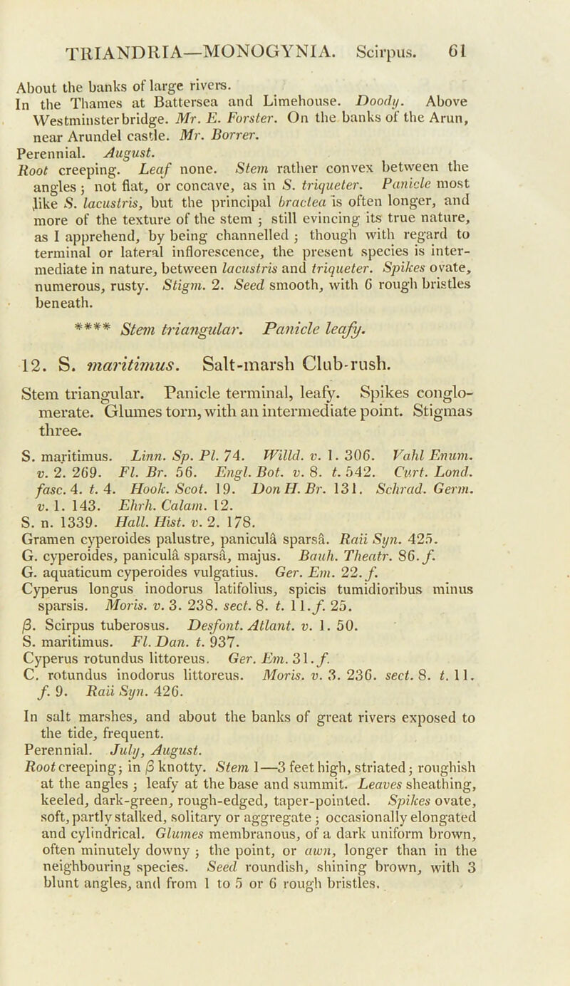 About the banks of large rivei-s. In the Thames at Battersea and Limehouse. Doody. Above Westminster bridge. Mr. E. Forster. On the banks of the Arun, near Arundel castle. Mr. Borrer. Perennial. August. Root creeping. Leaf none. Stern rather convex between the angles; not flat, or concave, as in S. triqueter. Panicle most like S. lacustris, but the principal braclea is often longer, and more of the texture of the stem j still evincing its true nature, as I apprehend, by being channelled though with regard to terminal or lateral inflorescence, the present species is inter- mediate in nature, between lacustris and triqueter. Spikes ovate, numerous, rusty. Stigm. 2. Seed smooth, with C rough bristles beneath. **## triangular. Panicle leafy. 12. S. maritimus. Salt-marsh Club-rush. Stem triangular. Panicle terminal, leafy. Spikes conglo- merate. Glumes torn, with an intermediate point. Stigmas three. S. maritimus. Linn. Sp. PI. 74. Willd. v. 1. 30C. Vahl Enuni. V. 2. 269. FI. Br. 56. Engl. Bot. v. 8. t. b42. Curt. Lond. fasc.4. t. 4. Hook. Scot. 19. Don H. Br. 131. Schrad. Germ. V. 1. 143. Ehrh. Calain. 12. S. n. 1339. Hall. Hist. v. 2. 1/8. Gramen cyperoides palustre, panicula sparsa. Raii Syn. 425. G. cyperoides, panicula sparsa, majus. Bauh. Theatr. 86./. G. aquaticum cyperoides vulgatius. Ger. Em. 22. f. Cyperus longus inodorus latifolius, spicis tumidioribus minus sparsis. Moris, v. 3. 238. sect. 8. t. 11./. 25. |S. Scirpus tuberosus. Desfont. Atlant. v. 1. 50. S. maritimus. FI. Dan. t. 937. Cyperus rotundus littoreus. Ger. Em. 31./ C. rotundus inodorus littoreus. Mom. u. 3. 236. sect. 8. <.11. /. 9. Raii Syn. 426. In salt marshes, and about the banks of great rivers exposed to the tide, frequent. Perennial. July, August. i?oo<creeping5 in /3 knotty. Stem 1—3 feet high, striated; roughish at the angles ; leafy at the base and summit. Leaves sheathing, keeled, dark-green, rough-edged, taper-pointed. Spikes ovate, soft, partly stalked, solitary or aggregate ; occasionally elongated and cylindrical. Glumes membranous, of a dark uniform brown, often minutely downy ; the point, or awn, longer than in the neighbouring species. Seed roundish, shining brown, with 3 blunt angles, and from 1 to 5 or 6 rough bristles.