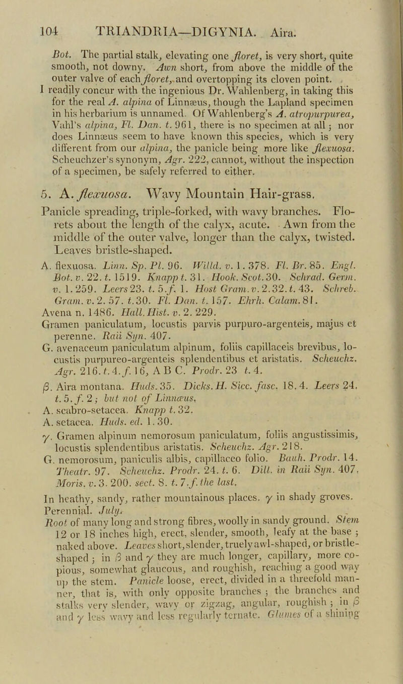 Dot. The partial stalky elevating one Jioret, is very short, quite smooth, not downy. Awn short, from above the middle of the outer valve of eachj^orei,.and overtopping its cloven point, , I readily concur with the ingenious Dr. Wahlenberg, in taking this for the real A. alpina of Linnaeus, though the Lapland specimen in his herbarium is unnamed. Of Wahlenberg’s A. atropurpurea, Vahl’s alpina, FI. Dan. t. 901, there is no specimen at all 5 nor does Linnaeus seem to have known this species, which is very different from our alpina, the })anicle being more like Jlexuosa. Scheuchzer’s synonym, Agr. 222, cannot, without the inspection of a specimen, be safely referred to either. 5. K. flexuosa. Wavy Mountain Hair-grass, Panicle spreading, triple-forked, with wavy branches. Flo- rets about the length of the calyx, acute. Awn from the middle of the outer valve, longer than the calyx, twisted. Leaves bristle-shaped. A. fle.Kuosa. Linn. Sp. PI. DG. IVitld. v. 1.378. FI. Br. 85. Engl. Bot. v.22.t. 1519. Knapp t.3\. Hook. Scot. 30. Schrad. Germ. V. 1.259. Leers 23. t. 5.f. \. Host Gram. xi. 2.32.1. A3. Sclireb. Gram. V. 2. 57. t.30. FI. Dan. t. 157- Ehrh. Calam. 81. Avena n. 1486. Hall. Hist. v. 2. 229. Gramen paniculatum, locustis parvis purpuro-argenteis, majus et perenne. Raii Sijn. 407, G. avenaceum paniculatum alpinum, folds capillaceis brevibus, lo- custis purpureo-argenteis splendcntibus et aristatis. Scheuchz. Agr. 2\G.t.A.f. 16, AB C. Prodr. 23 t.A. /3. Aira montana. Huds. 35. Dicks. H. Sicc. fuse. 18.4. Leers 2A. t.5.f. 2; but not of Linncpus, A. scabro-setacea. Knapp t. 32. A. setacea. Huds. ed. 1.30. y. Gramen alpinum nemorosum paniculatum, folds angustissimis, locustis splendcntibus aristatis. Scheuchz. Agr. 218. G. nemorosum, paniculis albis, cajdllaceo folio. Bauh. Prodr. 14. Theatr. 97. Scheuchz. Prodr. 24. t. 6. Dill, in Raii Syn. 407, Moris. V. 3. 200. sect. 8. t. 7./. the last. In heathy, sandy, rather mountainous places, y in shady groves. Perennial. July. Root of many long and strong fibres, woolly in sandy ground. Stem 12 or 18 inches high, erect, slender, smooth, leafy at the base ; naked above. Leaves short, slender, truely awl-shaped, or bristle- shaped 5 in ;3 and 7 they are much longer, capillary, more co- pious, somewhat glaucous, and roughi.sh, reaching a good way u]j the stem. Panicle loose, erect, divided in a tlireclold man- ner, that is, with only opposite branches ; the branches and stalks very slender, wavy or zigzag, angular, roughish ; in p and 7 less wavy and less regularlj’ tcriiatc. Glumes of a shining