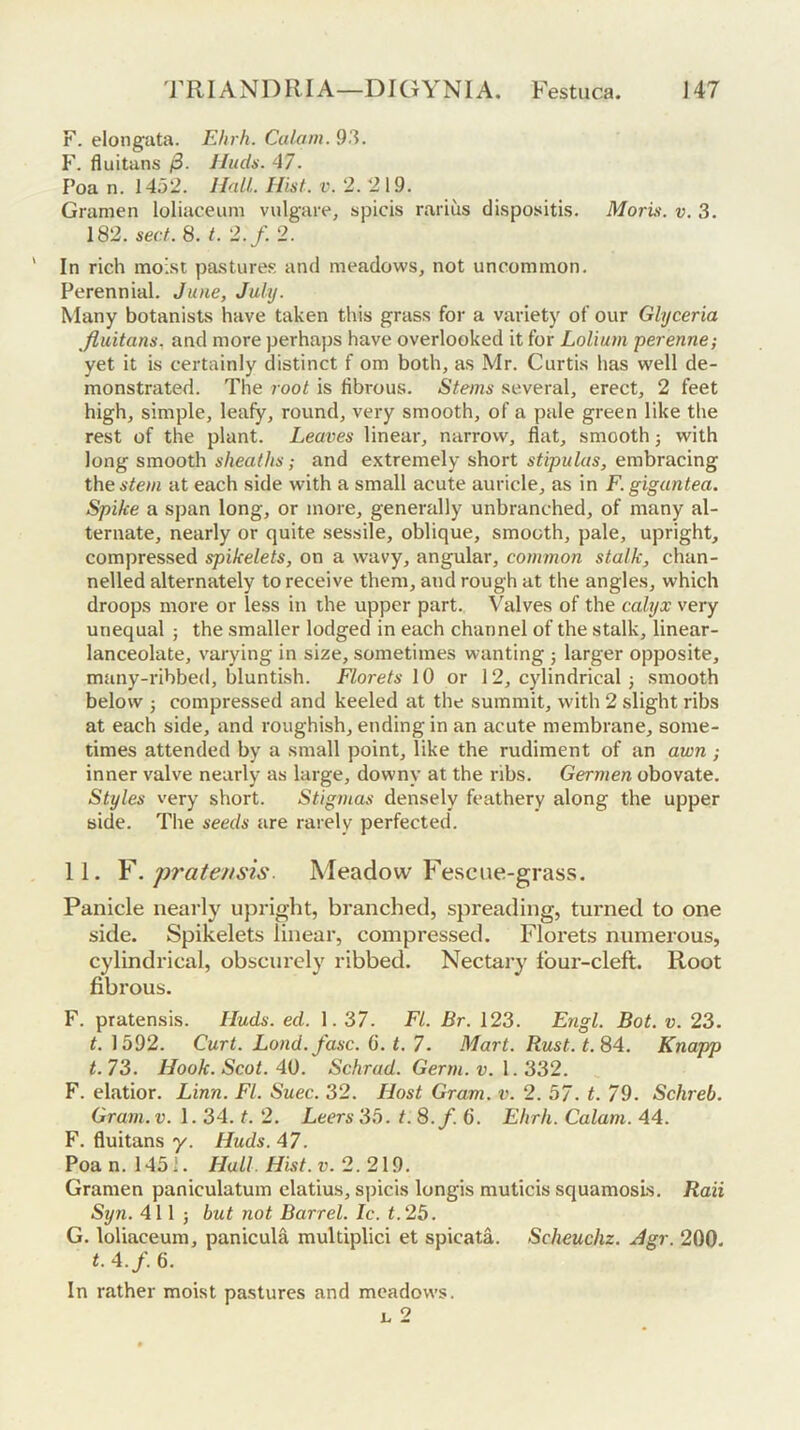 F. elongata. Ehrh. Calam. 93. F. fluitans j3. Iluds. 47. Poa n. 1452. Hall,. Hist. v. 2. 2 19. Gramen loliaceum vulgare, spicis rarius di.spositis. Moris, v. 3. 182. sect. 8. t. 2.f. 2. ' In rich moist pastures and meadows, not uncommon. Perennial. June, July. Many botanists have taken this grass for a variety of our Glyceria fluitans, and more perhaps have overlooked it for Lolium perenne; yet it is certainly distinct f om both, as Mr. Curtis has well de- monstrated. The 700t is fibrous. Steins several, erect, 2 feet high, simple, leafy, round, very smooth, of a pale green like the rest of the plant. Leaves linear, narrow, flat, smooth j with long smooth sheaths; and extremely short stipulas, embracing thes^ewi at each side with a small acute auricle, as in F. gigantea. Spike a span long, or more, generally unbranched, of many al- ternate, nearly or quite sessile, oblique, smooth, pale, upright, compressed spikelets, on a wavy, angular, common stalk, chan- nelled alternately to receive them, and rough at the angles, which droops more or less in the upper part. Valves of the calyx very unequal ; the smaller lodged in each channel of the stalk, linear- lanceolate, varying in size, sometimes wanting ; larger opposite, many-ribbed, bluntish. Florets \0 or 12, cylindrical j smooth below j compressed and keeled at the summit, with 2 slight ribs at each side, and roughish, ending in an acute membrane, some- times attended by a small point, like the rudiment of an awn ,• inner valve nearly as large, downy at the ribs. Germen obovate. Styles very short. Stigmas densely feathery along the upper side. The seeds are rarely perfected. 11. Y. p7'ate?isis. Meadow Fescue-grass. Panicle nearly upright, branched, spreading, turned to one side. Spikelets linear, compressed. Florets numerous, cylindrical, obscurely ribbed. Nectary Ibur-cleft. Root fibrous. F. pratensis. Huds. ed. 1.37. FI. Br. 123. Engl. Bot. v. 23. t. 1592. Curt. Lond.fasc. (i. t, 7. Mart. Rust. t. 84. Knapp t. 73. Hook. Scot. 40. Schrad. Germ. v. 1.332. F. elatior. Linn. FI. Suec. 32. Host Gram. v. 2. 57. t. 79. Schreb. Gram. v. 1.34. t. 2. Leers 35. t. 8.f.6. Ehrh. Calam. 44. F. fluitans y. Huds. 47. Poa n. 1451. Hull. Hist. v. 2. 2\9. Gramen paniculatum elatius, spicis longis muticis squamosls. Raii Syn. 411 j but not Barrel. Ic. t. 25. G. loliaceum, panicula multiplici et spicata. Scheuchz. Jgr. 200. t. 4./. 6. In rather moist pastures and meadows. u 2