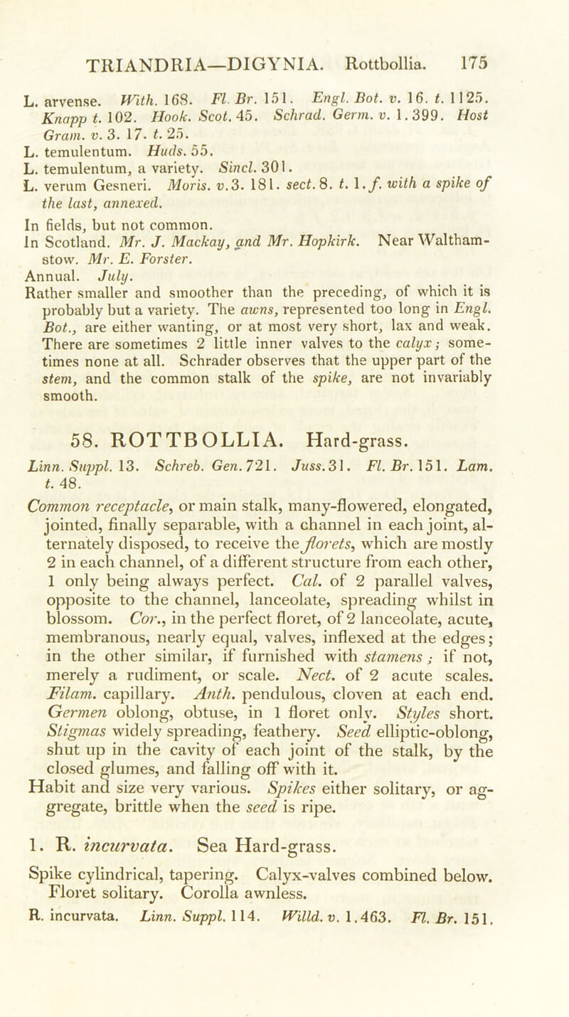 L. arvense. With. 168. FI Br. 151. Engl. Bot. v. 16. <.1125. Knapp t. 102. Hook. Scot.Ab. Schrad. Germ. v. 1.399. Host Gram. v. 3. 17. t. 25. L. temulentum. Huds.55. L. temulentum, a variety. Sind. 301. L. verum Gesneri. Moris, v.3. 181. sect. 8. t. \.f. with a spike of the last, annexed. In fields, but not common. In Scotland. Mr. J. Mackay, and Mr. Hopkirk. Near Waltham- stow. Mr. E. Forster. Annual. July. Rather smaller and smoother than the preceding, of which it is probably but a variety. The awns, represented too long in Engl. Bot., are either wanting, or at most very short, lax and weak. There are sometimes 2 little inner valves to the calyx; some- times none at all. Schrader observes that the upper part of the stem, and the common stalk of the spike, are not invariably smooth. 58. ROTTBOLLIA. Hard-grass. Linn. Suppl. \3. Schreb. Gen.721. Juss.3\. Fl.Br.lBl. Lam. t. 48. Common receptacle., or main stalk, many-flowered, elongated, jointed, finally separable, with a channel in each joint, al- ternately disposed, to receive the Jlorets, which are mostly 2 in each channel, of a different structure from each other, 1 only being always perfect. Cal. of 2 parallel valves, opposite to the channel, lanceolate, spreading whilst in blossom. Cor., in the perfect floret, of 2 lanceolate, acute, membranous, nearly equal, valves, inflexed at the edges; in the other similar, if furnished with stamens ,• if not, merely a rudiment, or scale. ISlect. of 2 acute scales. Filam. capillary. Anth. pendulous, cloven at each end. Germen oblong, obtuse, in 1 floret only. Styles short. Stigmas widely spreading, feathery. Seed elliptic-oblong, shut up in the cavity of each joint of the stalk, by the closed glumes, and falling off with it. Habit and size very various. Spikes either solitary, or ag- gregate, brittle when the seed is ripe. 1. R. incurvata. Sea Hard-grass. Spike cylindrical, tapering. Calyx-valves combined below. Floret solitary. Corolla awnless. R. incurvata. Linn. Suppl. 114. Willd.v. 1.463. FI. Br. 151.