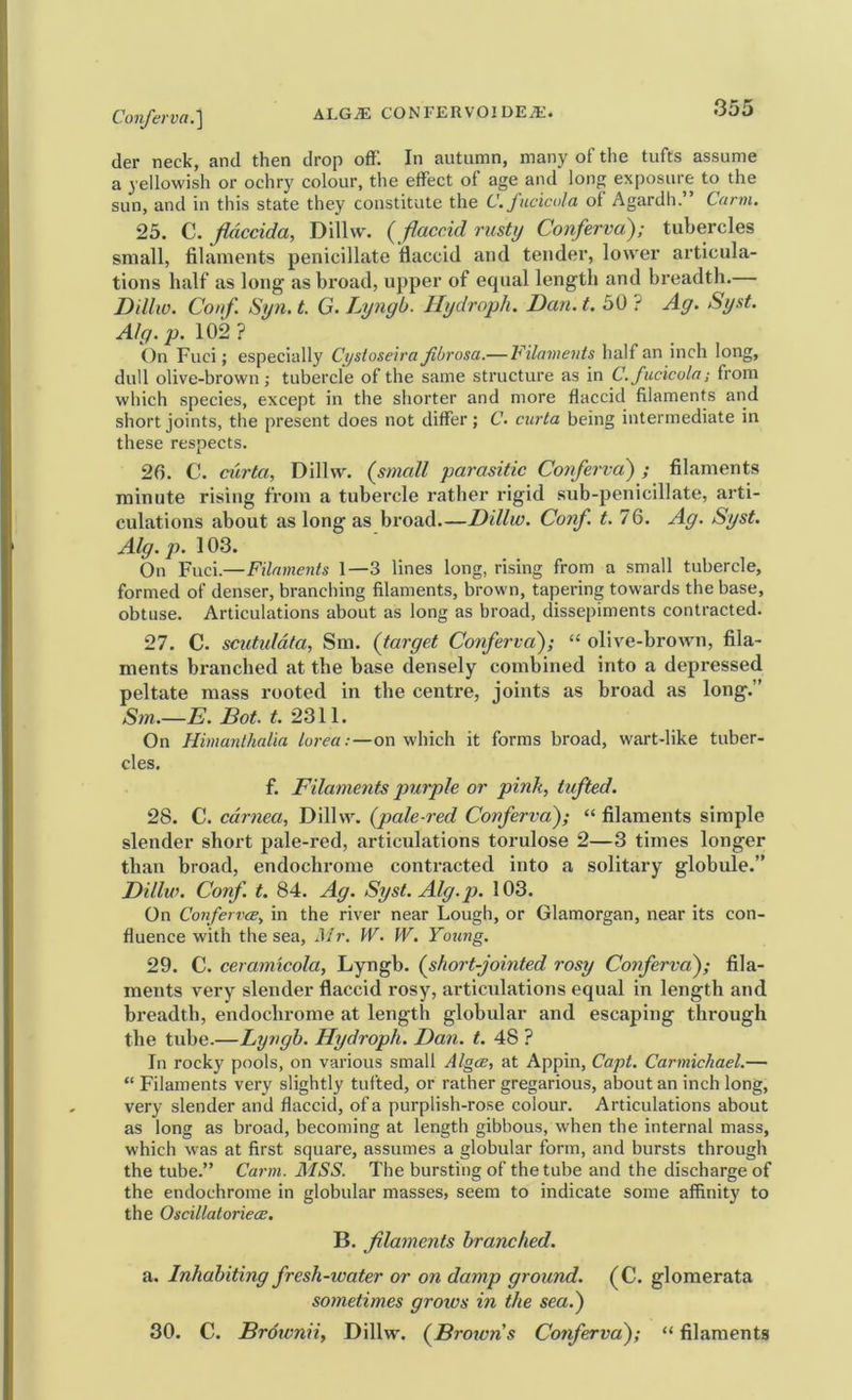 der neck, and then drop off. In autumn, many of the tufts assume a yellowish or ochry colour, the effect of age and long exposure to the sun, and in this state they constitute the C. fucicola of Agardh.’ Carm. 25. C. jidccida, Dillvv. { flaccid rusty Conferva); tubercles small, filaments penicillate flaccid and tender, lower articula- tions half as long as broad, upper of equal length and breadth.— Ddlw. Couf Syn. t. G. Lyngb. llydroph. Dan. t. 50 ? Ag. Syst. Alg.p. 102? On Fuci; especially Cijsloseira fibrosa.— Filaments half an inch long, dull olive-brown ; tubercle of the same structure as in C. fucicola; from which species, except in the shorter and more flaccid filaments and short joints, the present does not differ ; C. curia being intermediate in these respects. 26. C. ctirto, Dillw. {smcdl parasitic Conferva) ; filaments minute rising from a tubercle rather rigid sub-penicillate, arti- culations about as long as broad—Dillw. Corf. t. 76. Ag. Syst. Alg. p. 103. On Fuci.—Filaments 1—3 lines long, rising from a small tubercle, formed of denser, branching filaments, brown, tapering towards the base, obtuse. Articulations about as long as broad, dissepiments contracted. 27. C. scutiddta, Sm. {target Conferva); “ olive-brown, fila- ments branched at the base densely combined into a depressed peltate mass rooted in the centre, joints as broad as long.” Sm.—E. Dot. t. 2311. On Himanlhalia lorea;—on which it forms broad, wart-like tuber- cles. f. Filaments purple or pink, tufted. 28. C. cdrnea, Dillw. {pale-red Conferva); “ filaments simple slender short pale-red, articulations torulose 2—3 times longer than broad, endochrome contracted into a solitary globule.” Dillw. Corif. t. 84. Ag. Syst. Alg.p. 103. On Confervce, in the river near Lough, or Glamorgan, near its con- fluence with the sea, Mr. W. W. Young. 29. C. ceramicola, Lyngb. {short-jointed rosy Coiferva); fila- ments very slender flaccid rosy, articulations equal in length and breadth, endochrome at length globular and escaping through the tube.—Lyngb. Hydroph. Dan. t. 48 ? In rocky pools, on various small Algce, at Appin, Capt. Carmichael.— “ Filaments very slightly tufted, or rather gregarious, about an inch long, very slender and flaccid, of a purplish-rose colour. Articulations about as long as broad, becoming at length gibbous, when the internal mass, which was at first square, assumes a globular form, and bursts through the tube.” Carm. MSS. The bursting of the tube and the discharge of the endochrome in globular masses, seem to indicate some affinity to the OscillatoriecB. B. filaments branched. a. Inhabiting fresh-water or on damp ground. (C. glomerata sometimes groivs in the sea.) 30. C. Brotvnii, Dillw. {Drowns Conferva); “ filaments