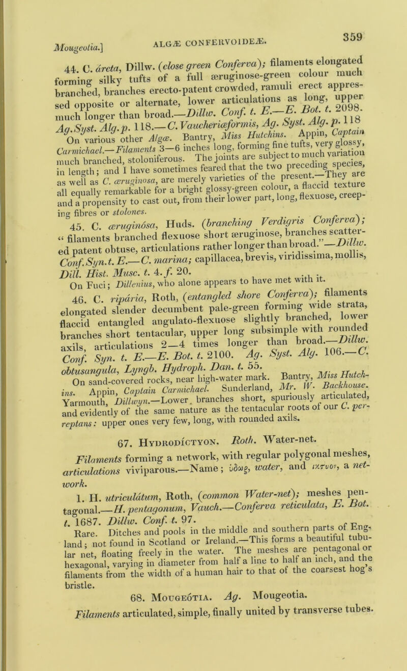 AIougeotia.'\ 44 C. drcta, Dillw. {close green Conferva); filaments elongated forming silky tufts of a full jerugmose-green colour much bTanS, hr Inches erecto-patent crowded, ramuh erect appres- L opposite or alternate, lower articulatmns as kmg, upper much longer than hvo^ii.—Ddhv. Conf t. E.—E. Bot. t. W. Aa Svst Ala p 118.— C. Vauchericeforjius, Ag. Sgst. Alg. 118 and a propensity to cast out, from their lower part, long, flexuose, creep ing fibres or siolones. . . n \ 45 C. (cruginosa, Huds. {branching Verdigris Conferva); - filaments branched flexuose short mruginose, branches scattei- ed patent obtuse, articulations rather longer than broad. -EiLw. ConfSi/n.t, E. C. marina; capillacea,brevis, viridissima,mollis. Bill. Hist. Muse. t. 4.f. 20. On Fuci; Dillenius, who alone appears to have met with it. 46 C. ripdria, Roth, {entangled shore Conferva); filaments elongated slender decumbent pale-green forming wide strata, flacefd entangled angulato-flexuose slightly branched, lowei branches short tentacular, upper long subsimple with axils, articulations 2-4 times longer than broad.--^//^. Conf Syn. t. E.—E. Bot. t. 2100. Ag. Syst. Alg. 106.—C. obtusungula, Lyngb. Hydroph. Dan. t. 55. On sand-covered rocks, near Ingh-water mark Bantry Mm HuUh ins Anpin, Captain Carmichael. Sunderland, Mu M • Bachhotae. Yarmouth ii//Ij/«.-Lower. branches short, spuriously articulated, Ind evidently of the same nature as the tentacular roots of our 6. pci- reptans: upper ones very few, long, with rounded axils. 67. Hyurodictyon. Both. Water-net. Filaments forming a network, with regular polygonal meshes, articulations viviparous.-Name; Oacog, water, and ixrvov, a net- 1. H. utriculdtum, Roth, {common Water-net); meshes pen- tao-onal.—H. pentagonum, Vauch.—Conferva reticulata, E. o. . Dilhv. Conf. t. 97. . r- * Rare. Ditches and pools in the middle and southern parts of Eng- land ; not found in Scotland or Ireland.--This forms a lar net floating freely in the water. The meshes are penta^ona hexagonal, varying in diameter from half a line to half an inch, and the filai^nts from the width of a human hair to that of the coarsest hog s bristle. 68. Mougeotia. Ag. Mougeotia. Filaments articulated, simple, finally united by transvei’se tubes.
