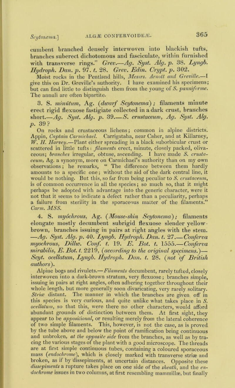 Sctjlonemn.'] cuinbent branclied densely inteiAvoven into blackish tufts, branches suberect dichotomous and fasciculate, Avitbin furnished with transverse rings.” Grev.—Ag. Syst. Alg. p. 38. Lyngh. Hydroph. Dan. p. 97. t. 28. Grev. Edin. Crypt, p. 302. Moist rocks in the Pentland hills, Messrs. Arnott and Greville.—I give this on Dr. Greville’s authority. I have examined his specimens; but can find little to distinguish them from the young of S. j^anniforme. The annuli are often bipartite. 3. S. minutum, Ag. (dioarf Scytonema); filaments minute erect rigid flexuose fastigiate collected in a dark crust, branches short.—Ag. Syst. Alg. p. 39.—S. cnistaceum., Ag. Syst. Alg. p. 39? On rocks and crustaceous lichens; common in alpine districts. Appin, Captain Carmichael. Carrigataha, near Caher, and at Killarney, W. H. Harvey.—Plant either spreading in a black suborbicular crust or scattered in little tufts: filaments erect, minute, closely packed, oliva- ceous; branches irregular, obtuse, ascending. I have made S. criista- ceum, Ag. a synonym, more on Carmichael’s authority than on my own observations; he remarks, “ The difference between them hardly amounts to a specific one; without the aid of the dark central line, it would be nothing. But this, so far from being peculiar to S. cnistaceum. is of common occurrence in all the species; so much so, that it might perhaps be adopted with advantage into the generic character, were it not that it seems to indicate a defect rather than a peculiarity, perhaps a failure from sterility in the sporaceous matter of the filaments.” Carm. MSS. 4. S. myochrous, Ag. {JMouse-skin Scytonema^; filaments elongate mostly decumbent subrigid flexuose slender yellow- brown, branches issuing in pairs at right angles with the stem. —Ag. Syst. Alg. p. 40. Lyngh. Hydroph. Dan. t. 27.— Conferva myochrous, Dillw. Conf. t. 19. E. Dot. t. 1555.—Conferva mirahilis, E. Dot. t. 2219, {according to the original specimens.^— Scyt. ocellatum, Lyngh. Hydroph. Dan. t. 28. {not of British authors). Alpine bogs and rivulets.—Filaments decumbent, rarely tufted, closely interwoven into a dark-brown stratum, very flexuose; branches simple, issuing in pairs at right angles, often adhering together throughout their whole length, but more generally soon divaricating, very rarely solitary. Strice distant. The manner in which the branches are given off in this species is very curious, and quite unlike what takes place in S. ocellatum, so that this, were there no other characters, would afford abundant grounds of distinction between them. At first sight, they appear to l)e apposiiional, or resulting merely from the lateral coherence of two simple filaments. This, however, is not the case, as is proved by the tube above and below the point of ramification being continuous and unbroken, at the opposite side from the branches, as well as by tra- cing the various .stages of the plant with a good microscope. The threads are at first simple continuous tubes, containing a coloured sporaceous mass {endochrome), which is ylosely marked with transverse striae and broken, as if by dissepiments, at uncertain distances. Opposite these dissepiments a rupture takes place on one side of the sheath, and the en- dochrome issues in two columns, at first resembling mammillae, but finally