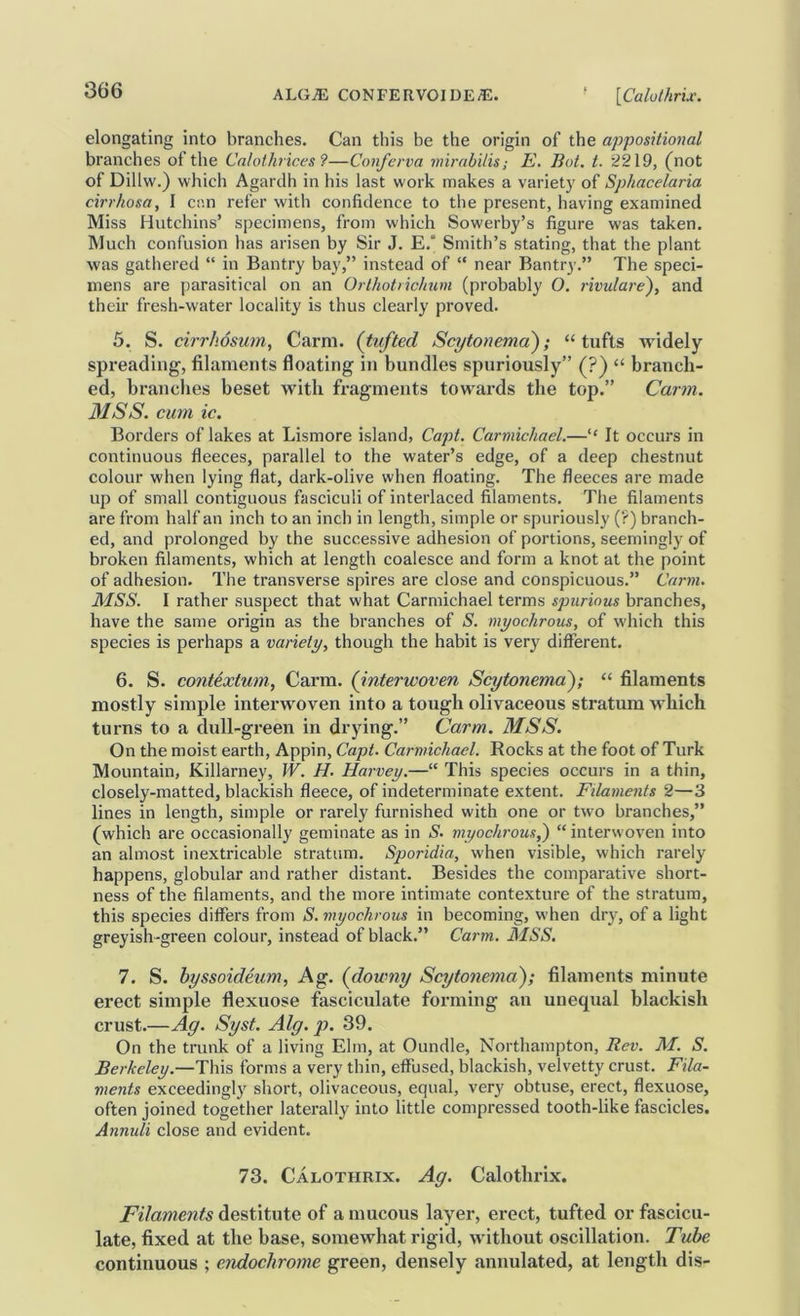 elongating into branches. Can this be the origin of the apposHional branches of the Cnlo1hrices9—Conferva mirabilis; E, Bot. t. 2219, (not of Dillw.) which Agardh in his last work makes a variety of Sphacelaria cirrhosa, I cun refer with confidence to the present, having examined Miss Hutchins’ specimens, from which Sowerby’s figure was taken. Much confusion has arisen by Sir J. E.‘ Smith’s stating, that the plant was gathered “ in Bantry bay,” instead of “ near Bantry.” The speci- mens are parasitical on an Orlhotrichum (probably O. rivulare), and their fresh-water locality is thus clearly proved. 5. S. cirrhdsum, Carm. (tufted Scytonema); “tufts widely spreading, filaments floating in bundles spuriously” (?) “ branch- ed, branches beset with fragments towards the top.” Carm. MSS. cum ic. Borders of lakes at Lismore island, CajU. Carmichael.—“ It occurs in continuous fleeces, parallel to the water’s edge, of a deep chestnut colour when lying flat, dark-olive when floating. The fleeces are made up of small contiguous fasciculi of interlaced filaments. The filaments are from half an inch to an inch in length, simple or spuriously (?) branch- ed, and prolonged by the successive adhesion of portions, seemingly of broken filaments, which at length coalesce and form a knot at the point of adhesion. The transverse spires are close and conspicuous.” Carm. MSS. I rather suspect that what Carmichael terms spurious branches, have the same origin as the branches of S. myochrous, of which this species is perhaps a variety, though the habit is very different. 6. S. contextum, Carm. (interwoven Scytonema); “ filaments mostly simple interwoven into a tough olivaceous stratum which turns to a dull-green in drying.” Carm. MSS. On the moist earth, Appin, Capt. Carmichael. Rocks at the foot of Turk Mountain, Killarney, W. H. Harvey.—“ This species occurs in a thin, closely-matted, blackish fleece, of indeterminate extent. Filaments 2—3 lines in length, simple or rarely furnished with one or two branches,” (which are occasionally geminate as in S. myochrous,) “ interwoven into an almost inextricable stratum. Sporidia, when visible, which rarely happens, globular and rather distant. Besides the comparative short- ness of the filaments, and the more intimate contexture of the stratum, this species differs from S. myochrous in becoming, when dry, of a light greyish-green colour, instead of black.” Carm. MSS. 7. S. hyssoideum, Ag. (downy Scytonema); filaments minute erect simple flexuose fasciculate forming an unequal blackish crust.—Ag. Syst. Alg. p. 39. On the trunk of a living Elm, at Oundle, Northampton, Rev. M. S. Berkeley.—This forms a very thin, effused, blackish, velvetty crust. Fila- ments exceedingly short, olivaceous, equal, very obtuse, erect, flexuose, often joined together laterally into little compressed tooth-like fascicles. Annuli close and evident. 73. Calothrix. Ag. Calotbrix. Filaments destitute of a mucous layer, erect, tufted or fascicu- late, fixed at the base, somewhat rigid, without oscillation. Tube continuous ; endochrome green, densely annulated, at length dis-
