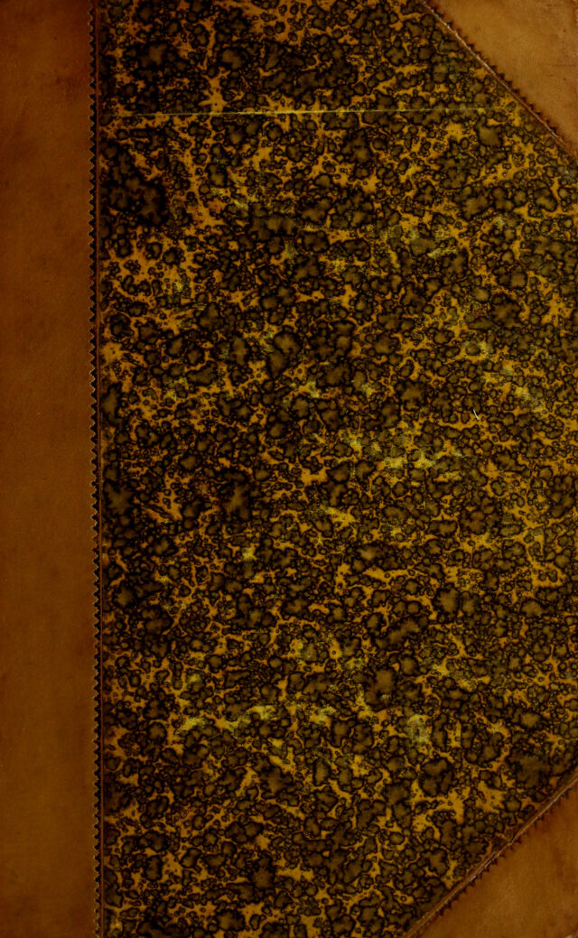 digitised image 1