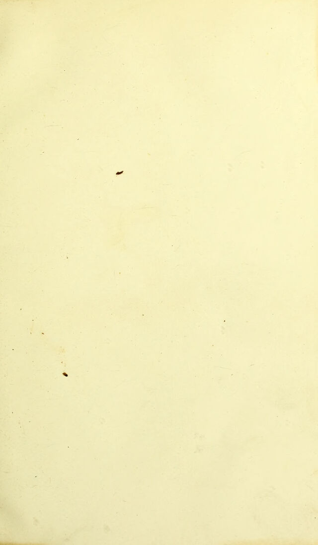 digitised image 3
