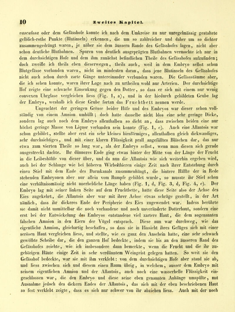 vasculosa oder dem Gefässhofe konnte ich nach dem Umkreise za nur unregelmässig gestaltete gelblich-rothe Punkte (Blulinseln) erkennen, die um so zahlreicher und daher um so dichter zusammengedrängt waren, je näher sie dem äussern Rande des GeTässhofes lagen, nicht aber schon deutliche Bluthahnen. Spuren von deutlich ausgeprägten Bluthahnen vermochte ich nur in dem durchsichtigen Hofe und dem ihm zunächst befindlichen Theile des Gefässhofes aufzufinden; doch zweifle ich theils eben dieserwegen, theils auch, weil in dem Embryo selbst schon Blutgefässe vorhanden waren, nicht im mindesten daran, dass jene Blutinseln des Gefässhofes nicht auch schon durch zarte Gänge untereinander verbunden waren. Die Gefässstämme aber, die ich sehen konnte, waren ihrer Lage nach zu urtheilen wohl nur Arterien. Der durchsichtige Hof zeigte eine schwache Einsenkung gegen den Dotter, so dass er sich mit einem nur wenig convexen llhrglase vergleichen liess (Fig. 1, a), und in der hiedurch gebildeten Grube lag der Embryo, weshalb ich diese Grube fortan das Fruchtbett nennen werde. Ungeachtet der geringen Grösse beider Höfe und des Embryos war dieser schon voll- ständig von einem Amnion umhüllt; doch hatte dasselbe nicht hlos eine sehr geringe Dicke, sondern lag auch noch dem Embryo allenthalben so dicht an, dass zwischen beiden eine nur höchst geringe Masse von Liquor vorhanden sein konnte (Fig. 1, c). Auch eine AUantois war schon gebildet, stellte aber erst ein sehr kleines birnförmiges, allenthalben gleich dickwandiges, sehr durchsichtiges, und mit einer klaren Flüssigkeit prall angefülltes Bläschen dar, das nur etwa zum vierten Theile so lang war, als der Embryo selbst, wenn man diesen sich gerade ausgestreckt dachte. Ihr dünneres Ende ging etwas hinter der Mitte von der Länge der Frucht in die Leibeshöhle von dieser über, und da nun die AUantois wie sich weiterbin ergeben wird, auch bei der Schlange wie bei höheren WirbeJthieren einige Zeit nach ihrer Entstehung durch einen Stiel mit dem Ende des Darmkanals zusammenhängt, die hintere Hälfte der in Rede stehenden Embryonen aber nur allein vom Rumpfe gebildet wurde, so musste ihr Stiel schon eine verhältnissmässig nicht unerhebliche Länge haben (Fig. 1, d, Fig. 3, d, Fig. 4, e). Der Embryo lag mit seiner linken Seite auf dem Fruchtbette, hatte diese Seite also der Achse des Eies zugekehrt, die AUantois aber w^ar mit ihrer Achse etwas schräge gesteUt, in der Art nämlich, dass ihr dickeres Ende der Peripherie des Eies zugewendet war. Indess berührte sie damit nicht unmittelbar die noch vorhandene und noch unveränderte Dotterhaut, sondern eine erst bei der Entwickelung des Embryos entstandene viel zartere Haut, die dem sogenannten falschen Amnion in den Eiern der Vögel entsprach. Diese nun war durchweg, wie das eigentliche Amnion, gleichartig heschalfen, so dass sie in Hinsicht ihres Gefiiges sich mit einer serösen Haut vergleichen liess, und stellte, wie es ganz den Anschein hatte, eine sehr schwach gewölbte Scheibe dar, die den ganzen Hof bedeckte , indem sie bis an den äusseren Rand des Gefässhofes reichte, wie ich insbesondere dann bemerkte, wenn die Frucht und die ihr zu- gehörigen Häute einige Zeit in sehr verdüimtem Weingeist gelegen hatten. So weit sie den Gefässhof bedeckte, war sie mit ihm verklebt: von dem durchsichtigen Hofe aber stand sie ah, und liess zwischen sich und diesem einen Raum übrig, in welchem, ausser dem Embryo mit seinem eigentlichen Amnion und der AUantois, auch noch eine wasserhelle Flüssigkeit ein- geschlossen war, die den Embryo und diese seine eben genannten Anhänge umspülte, mit Ausnahme jedoch des dickern Endes der AUantois, das sich mit der eben beschriebenen Haut so fest verklebt zeigte, dass es sich nur schwer von ihr abziehen liess. Auch mit der noch