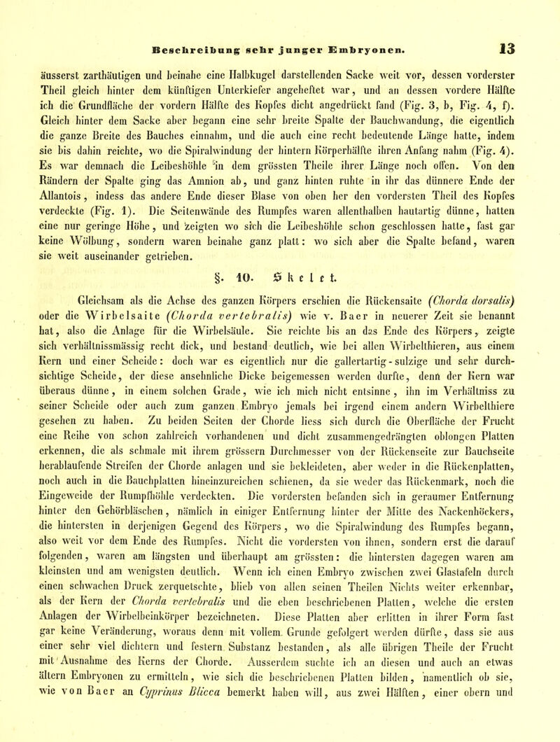 äusserst zarthäutigen und beinahe eine Halbkugel darstellenden Sacke weit vor, dessen vorderster Theil gleich hinter dem künftigen Unterkiefer angeheftet war, und an dessen vordere Hälfte ich die Grundfläche der vordem Hälfte des Kopfes dicht angedrückt fand (Fig. 3, b, Fig. 4, f). Gleich hinter dem Sacke aber begann eine sehr breite Spalte der Bauchwandung, die eigentlich die ganze Breite des Bauches einnahm, und die auch eine recht bedeutende Länge hatte, indem sie bis dahin reichte, wo die Spirahvindung der hintern Körpcrhälfte ihren Anfang nahm (Fig. 4). Es war demnach die Leibeshöhle ''in dem grössten Tbcile ihrer Länge noch offen. V^n den Rändern der Spalte ging das Amnion ab, und ganz hinten ruhte in ihr das dünnere Ende der Allantois , indess das andere Ende dieser Blase von oben her den vordersten Theil des Kopfes verdeckte (Fig. 1), Die Seitenwände des Rumpfes waren allenthalben hautartig dünne, hatten eine nur geringe Höhe, und zeigten wo sich die Leibeshöhle schon geschlossen hatte, fast gar keine Wölbung, sondern waren beinahe ganz platt: wo sich aber die Spalte befand, waren sie weit auseinander getrieben. §. 10. ^ h t l t t Gleichsam als die Achse des ganzen Körpers erschien die Rückensaite (Chorda doi^salis) oder die Wirbelsaite (Chorda vertehralis) wie v. Baer in neuerer Zeit sie benannt hat, also die Anlage für die Wirbelsäule. Sie reichte bis an das Ende des Körpers, zeigte sich verhältnissmässig recht dick, und bestand deutlich, wie bei allen Wirbellhicren, aus einem Kern und einer Scheide: doch war es eigentlich nur die gallertartig-sulzige und sehr durch- sichtige Scheide, der diese ansehnliche Dicke beigemessen \A'erdcn durfte, denn der Kern war überaus dünne , in einem solchen Grade, M'ie ich mich nicht entsinne , ihn im Verhältniss zu seiner Scheide oder auch zum ganzen Embryo jemals bei irgend einem andern Wirbelthiere gesehen zu haben. Zu beiden Seiten der Chorde liess sich durch die Oberfläche der Frucht eine Reihe von schon zahlreich vorhandenen und dicht zusammengedrängten oblongen Platten erkennen, die als schmale mit ihrem grössern Durchmesser von der Rückenseile zur Bauchseite herablaufende Streifen der Chorde anlagen und sie bekleideten, aber weder in die Rückenplatten, noch auch in die Bauchplatten hineinzureichen schienen, da sie weder das Rückenmark, noch die Eingeweide der Rumpfliöble verdeckten. Die vordersten befanden sich in geraumer Entfernung hinter den Gehörbläschen, nämlich in einiger Entfernung hinter der Mille des Nackenhöckers, die hintersten in derjenigen Gegend des Körpers , wo die Spiralwindung des Rumpfes begann, also weit vor dem Ende des Rumpfes. Nicht die vordersten von ihnen, sondern erst die darauf folgenden, waren am längsten und überhaupt am grössten: die hintersten dagegen waren am kleinsten und am wenigsten deutlich. Wenn ich einen Embryo zwischen zwei Glastafeln durch einen schwachen Druck zerquetschte, blieb von allen seinen Tbeüen Nichts weiter erkennbar, als der Kern der Chorda vertehralis und die eben beschriebenen Platten, welche die ersten Anlagen der Wirbelbeinkörper bezeichneten. Diese Platten aber erlitten in ihrer Form fast gar keine Veränderung, woraus denn mit voHem. Grunde gefolgert werden dürfte, dass sie aus einer sehr viel dichtem und festem Substanz bestanden, als alle übrigen Theile der Frucht mit Ausnahme des Kerns der Chorde. Ausserdem suchte ich an diesen und auch an etwas altern Embryonen zu ermitteln, wie sich die beschriebenen Platten bilden, namentlich ob sie, wie von Baer an Cyprinus Blicca bemerkt haben will, aus zwei Hälften, einer obern und