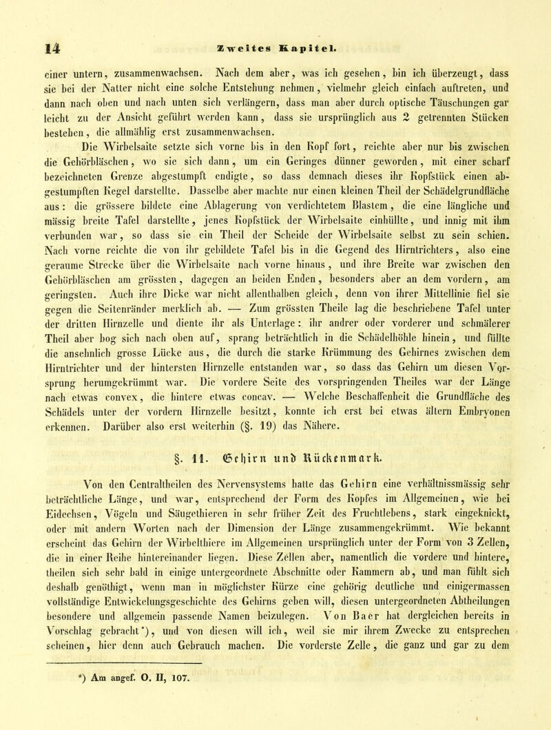 einer untern, zusammenwachsen. Nach dem aher, was ich gesehen, bin ich überzeugt, dass sie bei der Natter nicht eine solche Entstehung nehmen, vielmehr gleich einfach auftreten, und dann nach oben und nach unten sich verlängern, dass man aber durch optische Täuschungen gar leicht zu der Ansicht geführt werden kann, dass sie ursprünglich aus 2 getrennten Stücken bestehen, die allmählig erst zusammenwachsen. Die Wirbelsaite setzte sich vorne bis in den Kopf fort, reichte aber nur bis zwischen die Gehorbläschen, wo sie sich dann, um ein Geringes dünner geworden, mit einer scharf bezeichneten Grenze abgestumpft endigte, so dass demnach dieses ihr Kopfstück einen ab- gestumpften Kegel darstellte. Dasselbe aber machte nur einen kleinen Theil der Schädelgrundfläche aus : die grössere bildete eine Ablagerung von verdichtetem Blastem , die eine längliche und massig breite Tafel darstellte, jenes Kopfstück der Wirbelsaite einhüllte, und innig mit ihm verbunden war, so dass sie ein Theil der Scheide der Wirbelsaile selbst zu sein schien. Nach vorne reichte die von ihr gebildete Tafel bis in die Gegend des Hirntrichters, also eine geraume Strecke über die Wirbelsaite nach vorne hinaus , und ihre Breite war zwischen den Gehörblüschen am grössten, dagegen an beiden Enden, besonders aber an dem vordem, am geringsten. Auch ihre Dicke war nicht allenthalben gleich, denn von ihrer Mittellinie fiel sie gegen die Seitenränder merklich ab. — Zum grössten Theile lag die beschriebene Tafel unter der dritten Hirnzelle und diente ihr als Unterlage: ihr andrer oder vorderer und schmälerer Theil aber bog sich nach oben auf, sprang beträchtlich in die Schädelhöhle hinein, und Rillte die ansehnlich grosse Lücke aus, die durch die starke Krümmung des Gehirnes zwischen dem Hirntrichter und der hintersten Hirnzelle entstanden war, so dass das Gehirn um diesen Vqr- sprung herumgekrUmmt war. Die vordere Seite des vorspringenden Theiles war der Länge nach etwas convex, die hintere etwas concav. — Welche Beschaffenheit die Grundfläche des Schädels unter der vordem Hirnzelle besitzt, konnte ich erst bei etwas altern Embryonen erkennen. Darüber also erst w^eiterhin (§. 19) das Nähere. §. 11. (&t\)\xn unD Hückcnmark. Von den Centraltheilen des Nervensystems hatte das Gehirn eine verhältnissmässig sehr beträchtliche Länge, und war, entsprechend der Form des Kopfes im Allgemeinen, wie bei Eidechsen, Vögeln und Säugethieren in sehr früher Zeit des Fruchtlebens, stark eingeknickt, oder mit andern Worten nach der Dimension der Länge zusammengekrümmt. Wie bekannt erscheint das Gehirn der Wirbeltbiere im Allgemeinen ursprünglich unter der Form von 3 Zellen, die in einer Reihe hintereinander liegen. Diese Zellen aber, namentlich die vordere und hintere, theilen sich sehr bald in einige untergeordnete Abschnitte oder Kammern ab, und man fühlt sich deshalb genöthigt, wenn man in möglichster Kürze eine gehörig deutliche und einigermassen vollständige Entwickelungsgeschichte des Gehirns geben Avill, diesen untergeordneten Abtheilungen besondere und allgemein passende Namen beizulegen. Von Baer hat dergleichen bereits in Vorschlag gebracht *), und von diesen will ich, weil sie mir ihrem Zwecke zu entsprechen scheinen, hier denn auch Gebrauch machen. Die vorderste ZeDe, die ganz und gar zu dem *) Am angef. O. II, 107.