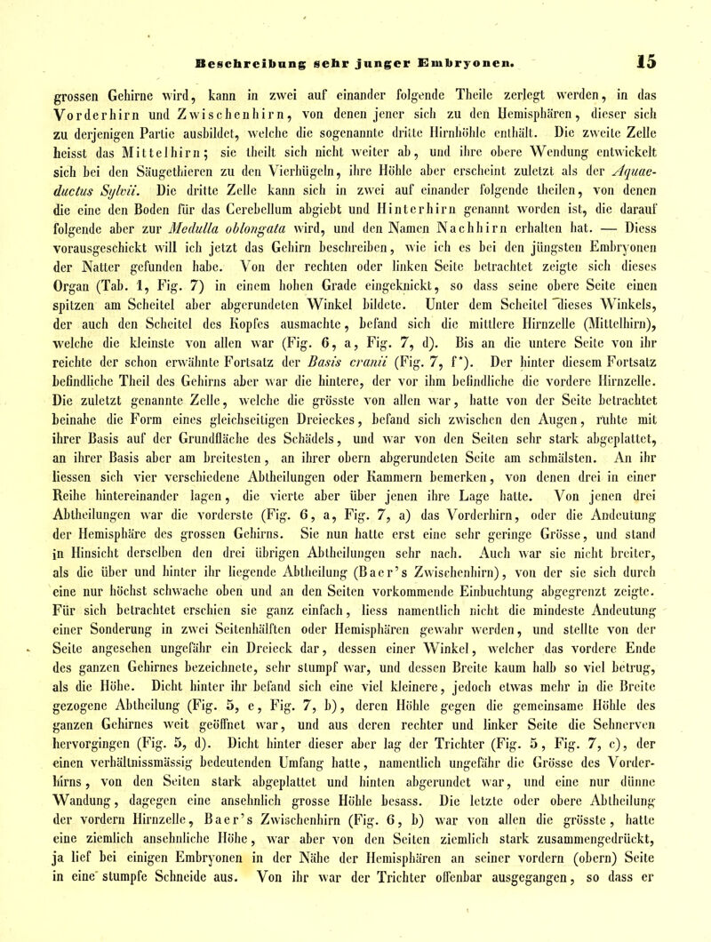 grossen Gehirne wird, kann in zwei auf einander folgende Theilc zerlegt werden, in das Vorderliirn und Zwischenhirn, von denen jener sich zu den Hemisphären, dieser sich zu derjenigen Partie ausbildet, w^elche die sogenannte dritte Hirnhöhle enthält. Die zweilc Zelle heisst das Mittelhirn; sie theilt sich nicht weiter ab, und ihre obere Wendung entwickelt sich bei den Säugethiercn zu den Vicrhügeln, ihre Höhle aber erschchit zuletzt als der Aquae- ductus Sijlvii. Die dritte Zelle kann sich in zwei auf einander folgende theilen, von denen die eine den Boden für das Cerebellum abgieht und Hinterhirn genannt worden ist, die darauf folgende aber zur Mcdulla oblongata wird, und den Namen Nachhirn erhalten hat. — Diess vorausgeschickt will ich jetzt das Gehirn beschreiben, wie ich es bei den jüngsten Embryonen der Natter gefunden habe. Von der rechten oder linken Seite betrachtet zeigte sich dieses Organ (Tab. 1, Fig. 7) in einem hohen Grade eingeknickt, so dass seine obere Seite einen spitzen am Scheitel aber abgerundeten Winkel bildete. Unter dem Scheitel 'dieses Winkels, der auch den Scheitel des Kopfes ausmachte, befand sich die mittlere Hirnzelle (Mittelhirn), welche die kleinste von allen war (Fig. 6, a, Fig. 7, d). Bis an die untere Seite von ihr reichte der schon erwähnte Fortsatz der Basis cranii (Fig. 7, f *). Der hinter diesem Fortsatz befindliche Theil des Gehirns aber war die hintere, der vor ihm befindliche die vordere Hirnzelle. Die zuletzt genannte Zelle, welche die grösstc von allen war, hatte von der Seite betrachtet beinahe die Form eines gleichseitigen Dreieckes, befand sich zwischen den Augen, rühte mit ihrer Basis auf der Grundfläche des Schädels, und war von den Seilen sehr stark abgeplattet, an ihrer Basis aber am breitesten, an ihrer obern abgerundeten Seite am schmälsten. An ihr Hessen sich vier verschiedene Abtheilungen oder Kammern bemerken, von denen drei in einer Reihe hintereinander lagen, die vierte aber über jenen ihre Lage hatte. Von jenen drei Abtheilungen war die vorderste (Fig. 6, a, Fig. 7, a) das Vorderhirn, oder die Andeutung der Hemisphäre des grossen Gehirns. Sie nun hatte erst eine sehr geringe Grösse, und stand in Hinsicht derselben den drei übrigen Abtheilungen sehr nach. Auch war sie nicht breiter, als die über und hinter ihr liegende Abtheilung (Baer's Zwischenhirn), von der sie sich durch eine nur höchst schwache oben und an den Seiten vorkommende Einbuchtung abgegrenzt zeigte. Für sich betrachtet erschien sie ganz einfach, Hess namentlich nicht die mindeste Andeutung einer Sonderung in zwei Seitenhälften oder Hemisphären gewahr werden, und stellte von der Seite angesehen ungefähr ein Dreieck dar, dessen einer Winkel, welcher das vordere Ende des ganzen Gehirnes bezeichnete, sehr stumpf war, und dessen Breite kaum halb so viel betrug, als die Höhe. Dicht hinter ihr befand sich eine viel kleinere, jedoch etwas mehr in die Breite gezogene Ahtheilung (Fig. 5, e, Fig. 7, b), deren Höhle gegen die gemeinsame Höhle des ganzen Gehirnes weit geöffnet war, und aus deren rechter und linker Seite die Sehnerven hervorgingen (Fig. 5, d). Dicht hinter dieser aber lag der Trichter (Fig. 5, Fig. 7, c), der einen verhältnissmässig bedeutenden Umfang hatte, namentlich ungefähr die Grösse des Vorder- Mrns, von den Seiten stark abgeplattet und hinten abgerundet war, und eine nur dünne Wandung, dagegen eine anselmlich grosse Höhle bcsa&s. Die letzte oder obere Abtheilung der vordem Hirnzelle, Baer's Zwischenhirn (Fig. 6, b) war von allen die grösste, hatte eine ziemlich ansehnliche Höhe, war aber von den Seiten ziemlich stark zusammengedrückt, ja lief bei einigen Embryonen in der Nähe der Hemisphären an seiner vordem (obern) Seite in eine'stumpfe Schneide aus. Von ihr war der Trichter offenbar ausgegangen, so dass er