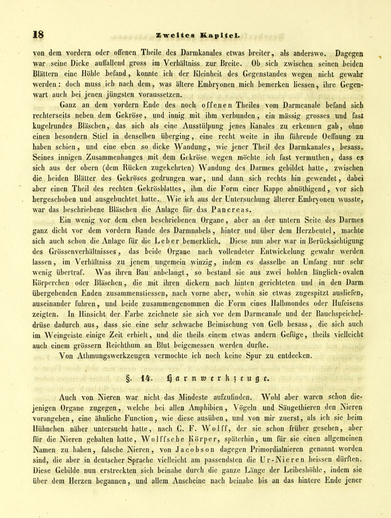 von dem vordem oder offenen Tlieile des Darmkanales etwas breiter, als anderswo. Dagegen war seine Dicke auffallend gross im Verhältniss zur Breite. Ob sieb zwiscben seinen beiden Blättern eine Höble befand, konnte ich der Kleinheit des Gegenstandes wegen nicht gewahr werden: doch muss ich nach dem, was ältere Embryonen mich bemerken Hessen, ihre Gegen- wart auch bei jenen jüngsten voraussetzen. Ganz an dem vordem Ende des noch offenen Theiles vom Darmcanale befand sich rechterseits neben dem Gekröse, und innig mit ihm verbunden, ein mässig grosses und fast kugelrundes Bläschen, das sich als eine Ausstülpung jenes Kanales zu erkennen gab, ohne einen besondern Stiel in denselben überging, eine recht weite in ihn führende Oeffnung zu haben schien, und eine eben so dicke Wandung, wie jener Theil des Darmkanales, besass. Seines innigen Zusammenhanges mit dem Gekröse wegen möchte ich fast vermuthen, dass es sich aus der obern (dem Rücken zugekehrten) Wandung des Darmes gebildet hatte, zwischen die beiden Blätter des Gekröses gedrungen war, und dann sich rechts hin gewendet, dabei aber einen Theil des rechten Gekrösblaltcs, ihm die Form einer Kappe abnöthigend, vor sich hergeschoben und ausgebuchtet hatte.. Wie ich aus der Untersuchung älterer Embryonen wusste, war das beschriebene Bläschen die Anlage für das Pancreas. Ein wenig vor dem eben beschriebenen Organe, aber an der untern Seite des Darmes ganz dicht vor dem vordem Rande des Darmnabels, hinter und über dem Herzbeutel, machte sich auch schon die Anlage für die Lebe r bemerklich. Diese nun aber war in Berücksichtigung des Grösscnverhältnisses, das beide Organe nach vollcndeler Entwickelung gewahr werden lassen, im Verhältniss zu jenem ungemein winzig, indem es dasselbe an Umfang nur sehr wenig übertraf. Was ihren Bau anbelangt, so bestand sie aus zwei hohlen länglich-ovalen Körperchen oder Bläschen, die mit ihren dickern nach hinten gerichteten und in den Darm übergehenden Enden zusammensliessen, nach vorne aber, wohin sie etwas zugespitzt ausliefen, auseinander fuhren, und beide zusammengenommen die Form eines Halbmondes oder Hufeisens zeigten. In Hinsicht der Farbe zeichnete sie sich vor dem Darmcanale und der Bauchspeichel- drüse dadurch aus, dass sie eine sehr schwache Beimischung von Gelb besass, die sich auch im Weingeiste einige Zeit erhielt, und die iheils einem etwas andern Gefdge, theils vielleicht auch einem grössern Reichthum an Blut beigemessen werden durfte. Von Athmungswerkzeugen vermochte ich noch keine Spur zu entdecken. §. 14. a V n xo t V h t u Q Auch von Nieren war nicht das Mindeste aufzufinden. Wohl aber waren schon die- jenigen Organe zugegen, welche bei allen Amphibien, Vögeln und Säugethieren den Nieren vorangehen, eine ähnliche Function, wie diese ausüben, und von mir zuerst, als ich sie beim Hühnchen näher untersucht hatte, nach C. F. Wolff, der sie schon früher gesehen, aber für die Nieren gehalten hatte, Wolffsche Körper, späterhin, um für sie einen allgemeinen Namen zu haben, falsche Nieren, von Jacobson dagegen Primordialnicren genannt worden sind, die aber in deutscher Sprache vielleicht am passendsten die Ur-Nicren heissen dürften. Diese Gebilde nun erstreckten sich beinahe durch die ganze Länge der Leibeshöhle, indem sie über dem Herzen begannen, und allem Anscheine nach beinahe bis an das hintere Ende jener