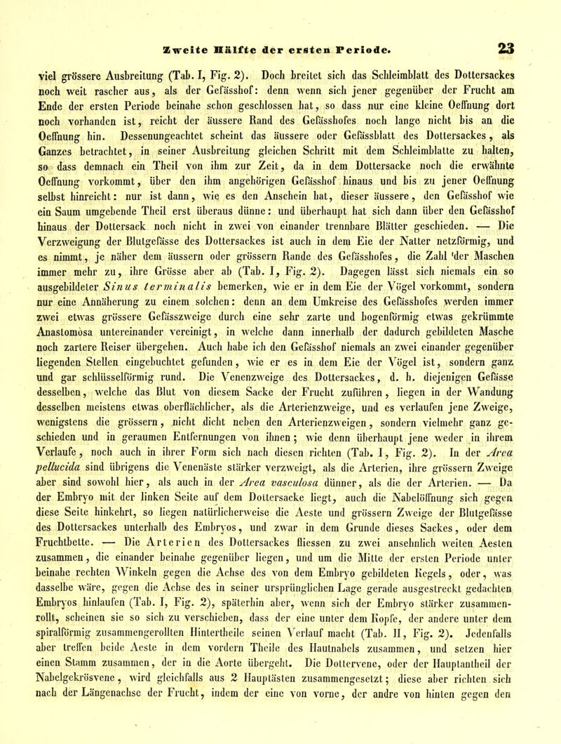 viel grössere Ausbreitung (Tab. I, Fig. 2). Doch breitet sich das Schleirablatt des Dottersackes noch weit rascher aus, als der Gefässhof: denn wenn sich jener gegenüber der Frucht am Ende der ersten Periode beinahe schon geschlossen hat, so dass nur eine kleine Oeffnung dort noch vorhanden ist, reicht der äussere Rand des Geftisshofes noch lange nicht bis an die Oeffnung hin. Dessenungeachtet scheint das äussere oder Gefässblatt des Dottersackes, als Ganzes betrachtet, in seiner Ausbreitung gleichen Schritt mit dem Schleimblatte zu halten, so dass demnach ein Theil von ihm zur Zeit, da in dem Dottersacke noch die erwähnte Oeffnung vorkommt, über den ihm angehörigen Gefässhof hinaus und bis zu jener Oeffnung selbst hinreicht: nur ist dann, wie es den Anschein hat, dieser äussere, den Gefässhof wie ein Saum umgebende Theil erst überaus dünne: und überhaupt hat sich dann über den Gefässhof hinaus der Dotiersack noch nicht in zwei von einander trennbare Blätter geschieden. — Die Verzweigung der Blutgefässe des Dottersackes ist auch in denj Eie der Natter netzförmig, und es nimmt, je näher dem äussern oder grossem Rande des Gcfässhofes, die Zahl 'der Maschen immer mehr zu, ihre Grösse aber ab (Tab. I, Fig. 2). Dagegen lässt sich niemals ein so ausgebildeter Sinus terminalis bemerken, wie er in dem Eie der Vögel vorkommt, sondern nur eine Annäherung zu einem solchen: denn an dem Umkreise des Gefässbofes werden immer zwei etwas grössere Gefässzwcige durch eine sehr zarte und bogenförmig etwas gekrümmte Anastomosa untereinander vereinigt, in welche dann innerhalb der dadurch gebildeten Masche noch zartere Reiser übergehen. Auch habe ich den Gefässhof niemals an zwei einander gegenüber liegenden Stellen eingebuchtet gefunden, wie er es in dem Eie der Vögel ist, sondern ganz und gar schlüsseiförmig rund. Die Venenzweige des Dottersackes, d. h. diejenigen Gefässe desselben, welche das Blut von diesem Sacke der Frucht zuführen , liegen in der Wandung desselben meistens etwas oberflächlicher, als die Arterienzweige, und es verlaufen jene Zweige, wenigstens die grossem, nicht dicht neben den Arterienzweigen, sondern vielmehr ganz ge- schieden und in geraumen Entfernungen von ihnen; wie denn überhaupt jene weder in ihrem Verlaufe, noch auch in ihrer Form sich nach diesen richten (Tab. I, Fig. 2). In der Area pellucida sind übrigens die Venenäste stärker verzweigt, als die Arterien, ihre grössern Zweige aber sind sowohl hier, als auch in der Area vasculosa dünner, als die der Arterien. — Da der Embryo mit der linken Seite auf dem Doltersacke liegt, auch die Nabclöffnung sich gegen diese Seite hinkehrt, so liegen natürlicherweise die Aeste und grössern Zweige der Blutgefässe des Dottersackes unterhalb des Embryos, und zwar in dem Grunde dieses Sackes, oder dem Fruchtbette. — Die Arterien des Dotiersackes fliessen zu zwei ansehnlich weiten Aesten zusammen, die einander beinahe gegenüber liegen, und um die Mitte der ersten Periode unter beinahe rechten Winkeln gegen die Achse des von dem Embryo gebildeten Kegels, oder, was dasselbe wäre, gegen die Achse des in seiner ursprünglichen Lage gerade ausgestreckt gedachten Embryos hinlaufen (Tab. I, Fig. 2), späterhin aber, wenn sich der Embryo stärker zusammen- rollt, scheinen sie so sich zu verschieben, dass der eine unter dem Kopfe, der andere unter dem spiralförmig zusammengerollten Hinlertheilc seinen Verlauf macht (Tab. II, Fig. 2). Jedenfalls aber treffen beide Aeste in dem vordem Theile des Hautnabcls zusammen, und setzen hier einen Stamm zusammen, der in die Aorte übergeht. Die Dollcrvene, oder der Hauplanliieil der Nabelgekrösvene , wird gleichfalls aus 2 Hauptästen zusammengesetzt; diese aber richten sich nach der Längenachse der Frucht, indem der eine von vorne, der andre von hinten gegen den
