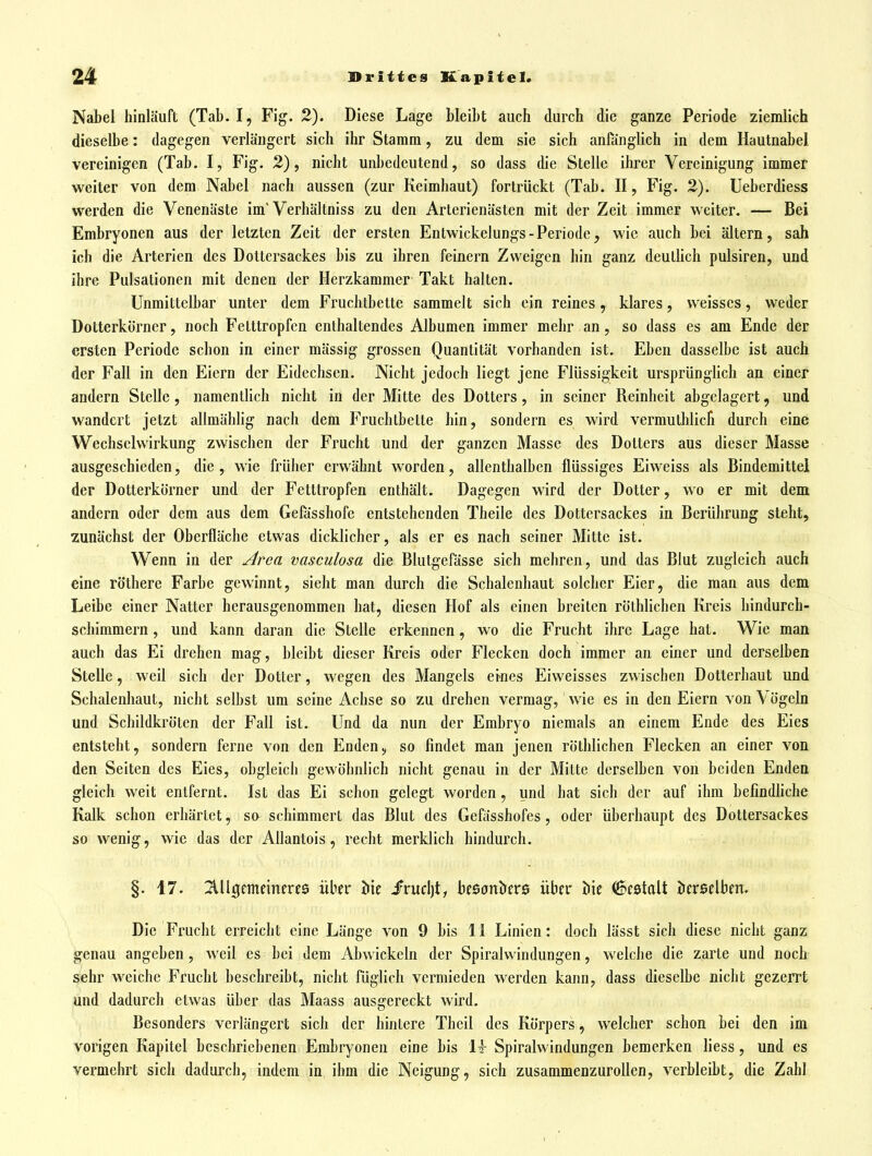 Nabel hinläuft (Tab. I, Fig. 2). Diese Lage bleibt auch durch die ganze Periode ziemlich dieselbe: dagegen verlängert sich ihr Stamm, zu dem sie sich anfänglich in dem Hautnabel vereinigen (Tab. I, Fig. 2), nicht unbedeutend, so dass die Stelle ihrer Vereinigung immer weiter von dem Nabel nach aussen (zur Keimhaut) fortrückt (Tab. II, Fig. 2). Ueberdiess werden die Venenäste im Verhältniss zu den Arterienästen mit der Zeit immer weiter. — Bei Embryonen aus der letzten Zeit der ersten Entwickelungs-Periode, wie auch bei altern, sah ich die Arterien des Dottersackes bis zu ihren feinern Zweigen hin ganz deutlich pulsiren, und ihre Pulsationen mit denen der Herzkammer Takt halten. Unmittelbar unter dem Fruchtbette sammelt sich ein reines, klares, weisses, weder Dotterkörner, noch Felttropfcn enthaltendes Albumen immer mehr an, so dass es am Ende der ersten Periode schon in einer mässig grossen Quantität vorhanden ist. Eben dasselbe ist auch der Fall in den Eiern der Eidechsen. Nicht jedoch liegt jene Flüssigkeit ursprünglich an einer andern Stelle, namentlich nicht in der Mitte des Dotters, in seiner Reinheit abgelagert, und wandert jetzt allmähhg nach dem Fruchtbette hin, sondern es wird vermuthlicTi durch eine Wechselwirkung zwischen der Frucht und der ganzen Masse des Dotters aus dieser Masse ausgeschieden, die, wie früher erwähnt worden, allenthalben flüssiges Eiweiss als Bindemittel der Dotterkorner und der Fetttropfen enthält. Dagegen wird der Dotter, wo er mit dem andern oder dem aus dem Gefässhofe entstehenden Theile des Dottersackes in Berührung steht, zunächst der Oberfläche etwas dicklicher, als er es nach seiner Mitte ist. Wenn in der Area vasculosa die Blutgefässe sich mehren, und das Blut zugleich auch eine röthere Farbe gewinnt, sieht man durch die Schalenhaut solcher Eier, die man aus dem Leibe einer Natter herausgenommen hat, diesen Hof als einen breiten rölhlichen Kreis hindurch- schimmern , und kann daran die Stelle erkennen, wo die Frucht ihre Lage hat. Wie man auch das Ei drehen mag, bleibt dieser Kreis oder Flecken doch immer an einer und derselben Stelle, weil sich der Dotter, wegen des Mangels eines Eiweisses zwischen Dotterhaut und Schalenhaut, nicht selbst um seine Achse so zu drehen vermag, wie es in den Eiern von \ ögeln und Schildkröten der Fall ist. Und da nun der Embryo niemals an einem Ende des Eies entsteht, sondern ferne von den Enden, so findet man jenen röthlichen Flecken an einer von den Seiten des Eies, obgleich gewöhnlich nicht genau in der Mitte derselben von beiden Enden gleich weit entfernt. Ist das Ei schon gelegt worden, und hat sich der auf ihm befindhche Kalk schon erhärtet, so schimmert das Blut des Gefässhofes, oder überhaupt des Dottersackes so wenig, wie das der Allantois, recht merklich hindurch. §. 17. ^lUgemeinn-es über öie JFrucl)t, bfsonircrs über öie 6c0talt öcrsclbm. Die Frucht erreicht eine Länge von 9 bis 11 Linien: doch lässt sich diese nicht ganz genau angeben , Aveil es bei dem Abwickeln der Spiralwindungen, welche die zarte und noch sehr weiche Frucht beschreibt, nicht fdglich vermieden werden kann, dass dieselbe nicht gezerrt und dadurch etwas über das Maass ausgereckt wird. Besonders verlängert sich der hintere Theil des Körpers, welcher schon bei den im vorigen Kapitel beschriebenen Embryonen eine bis 1t Spiralwindungen bemerken liess, und es vermehrt sich dadurch, indem in ihm die Neigung, sich zusammenzurollen, verbleibt, die Zahl